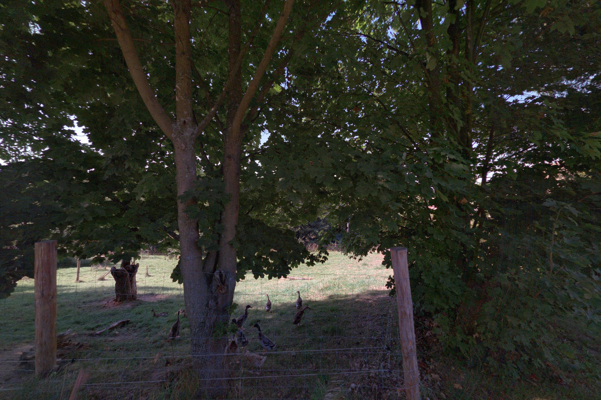 Samoobslužný bar U Pustovskejch foto 6