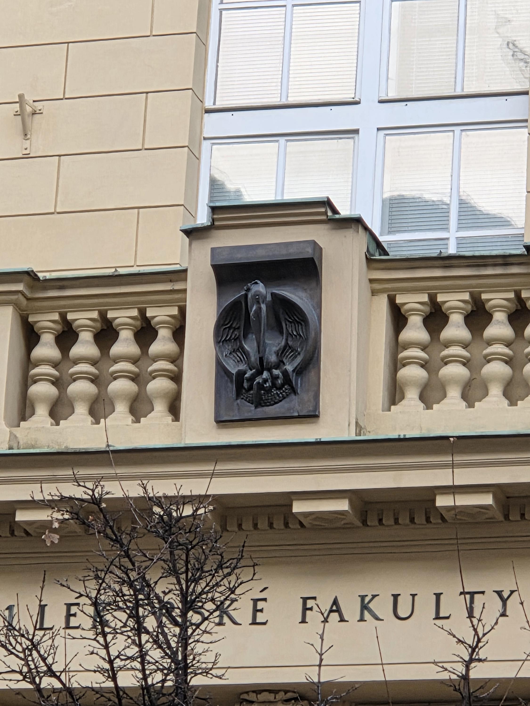 Anatomický ústav 1. LF - Univerzita Karlova foto 3