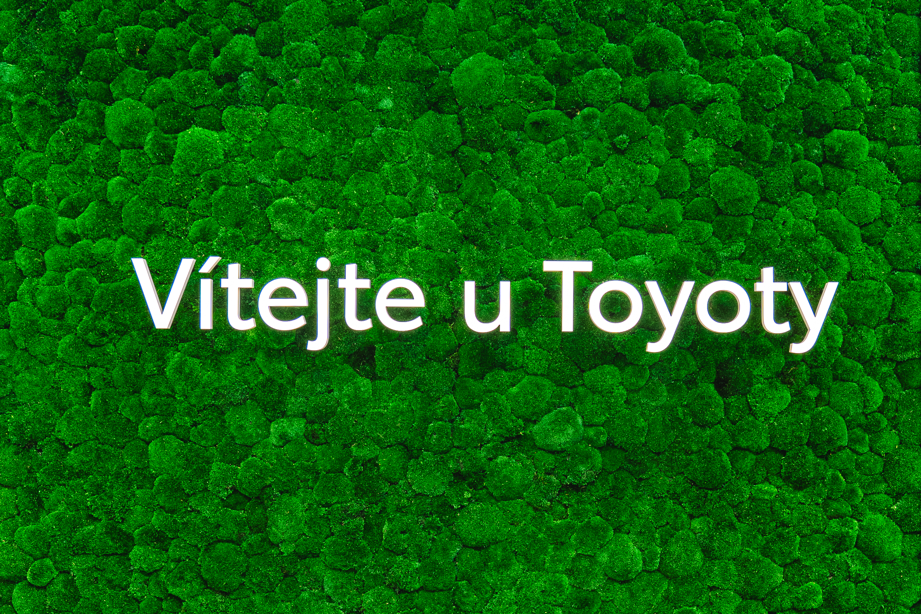 Toyota Dolák České Budějovice foto 2