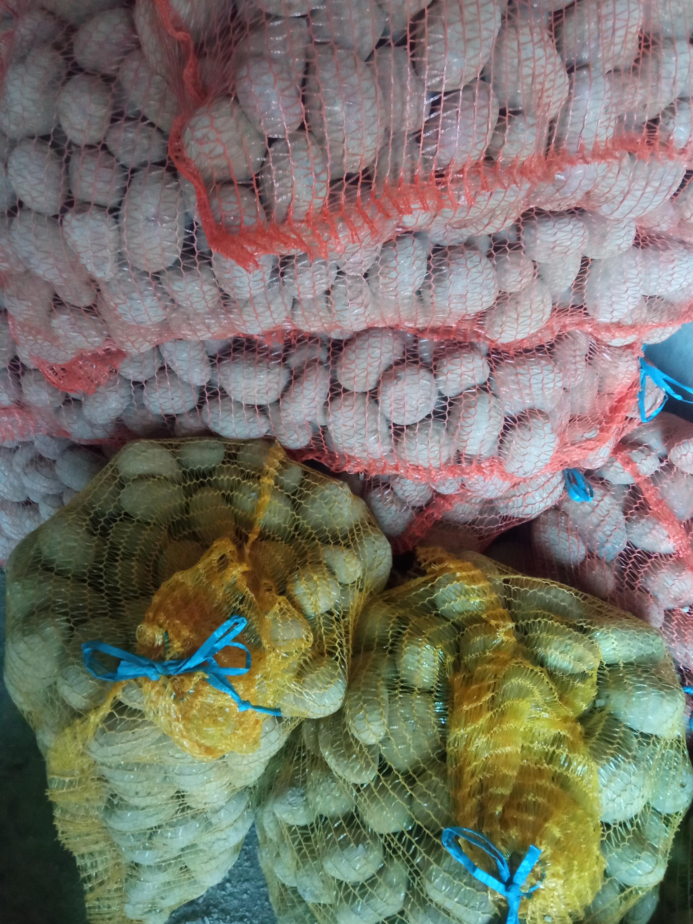 Rostlinná výroba Jiří Pasterňák foto 2