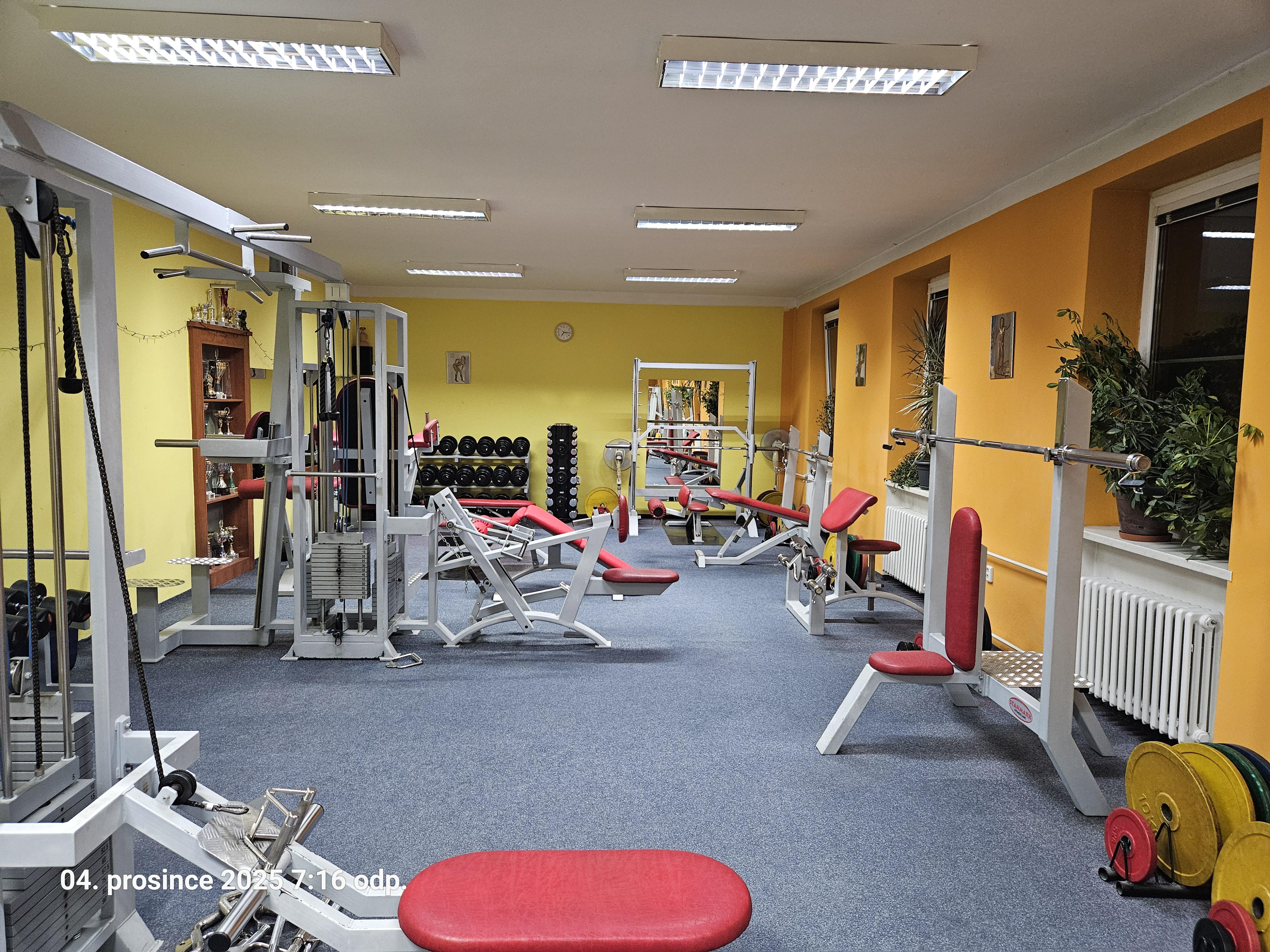 Fit - Darja foto 5