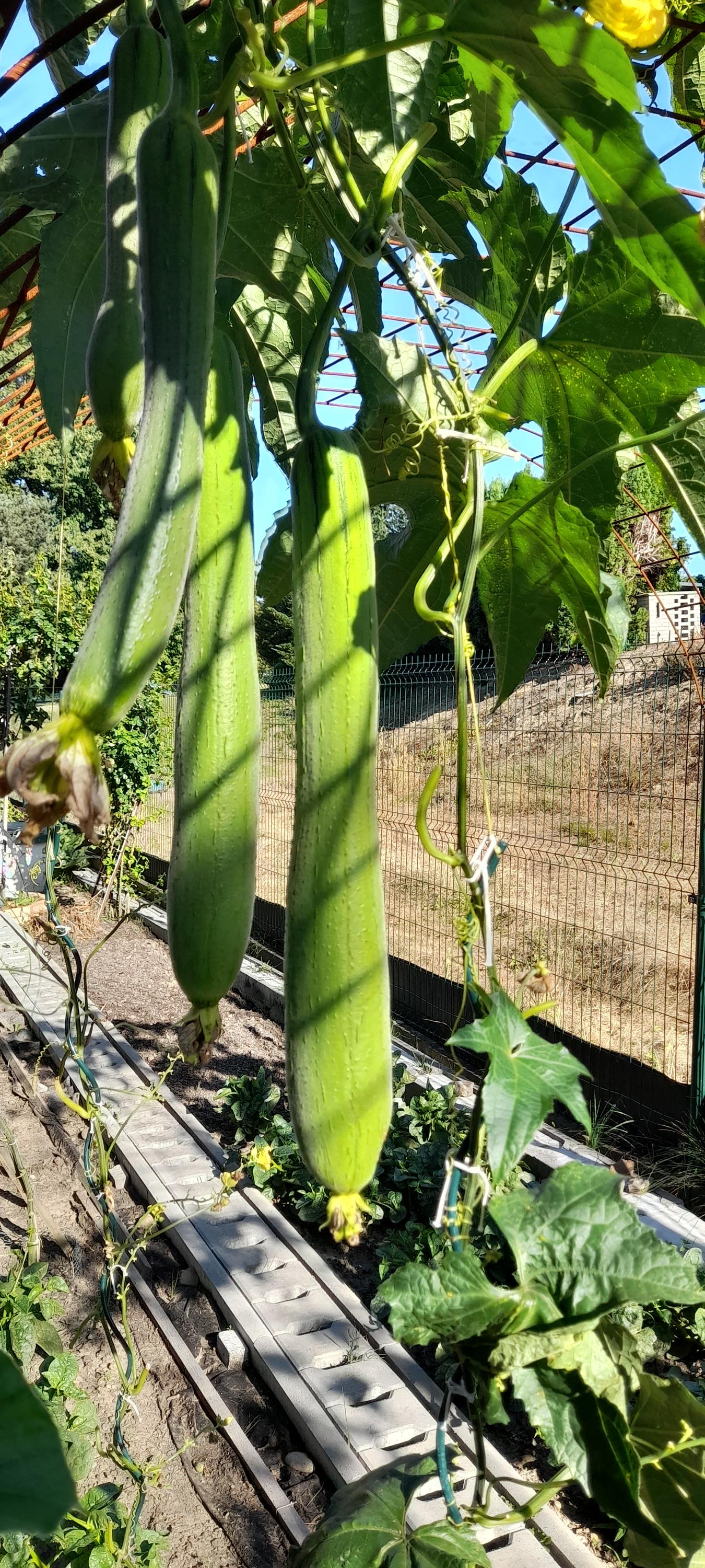 Hostinec u Dluhošů foto 2