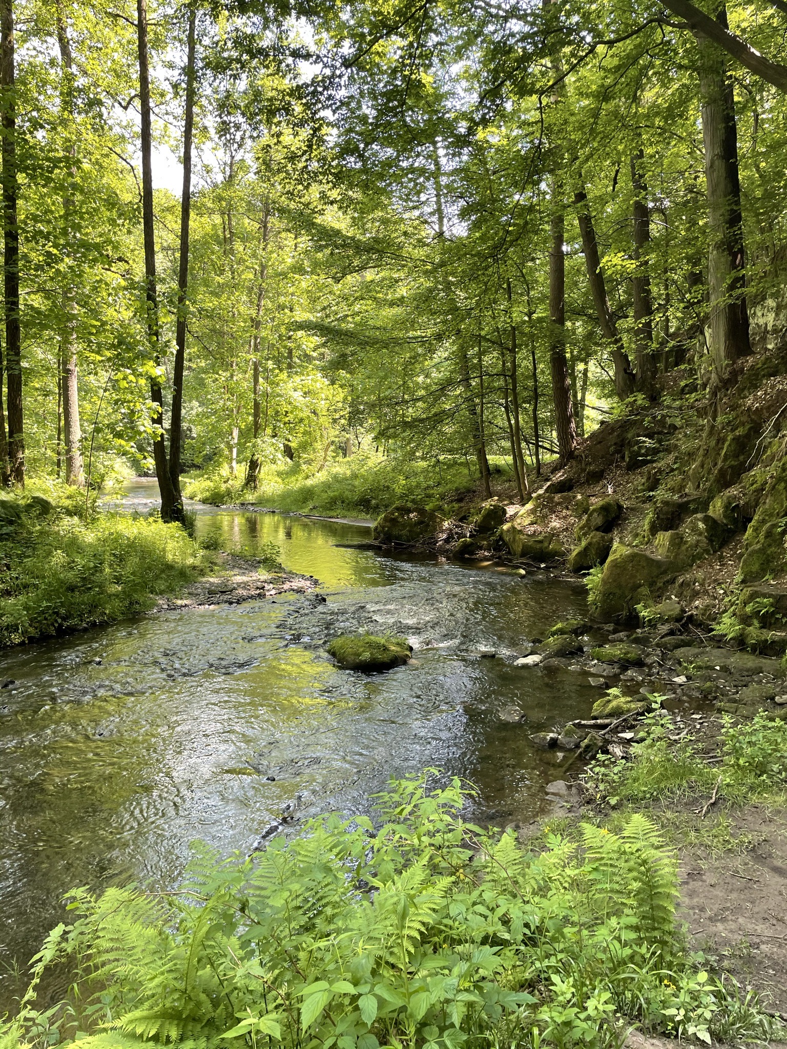 Janská jeskyně foto 4