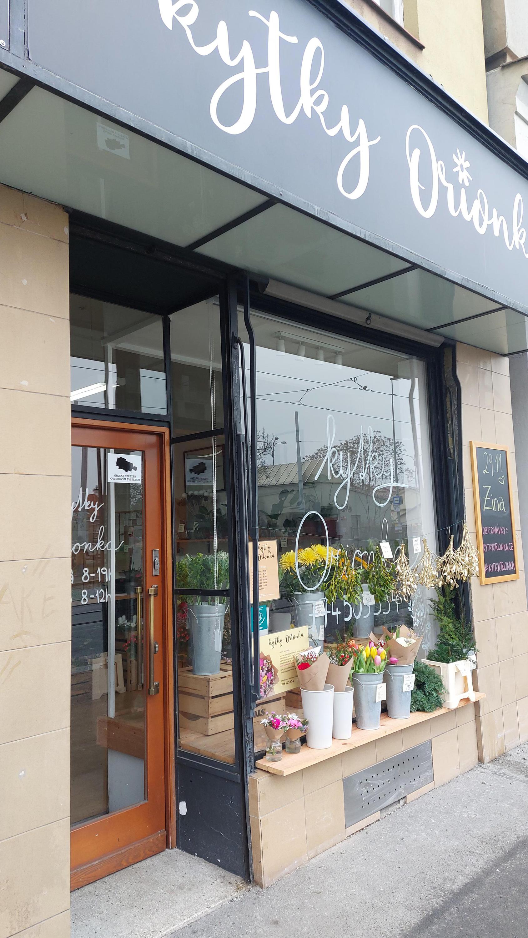 Kytky Orionka foto 6