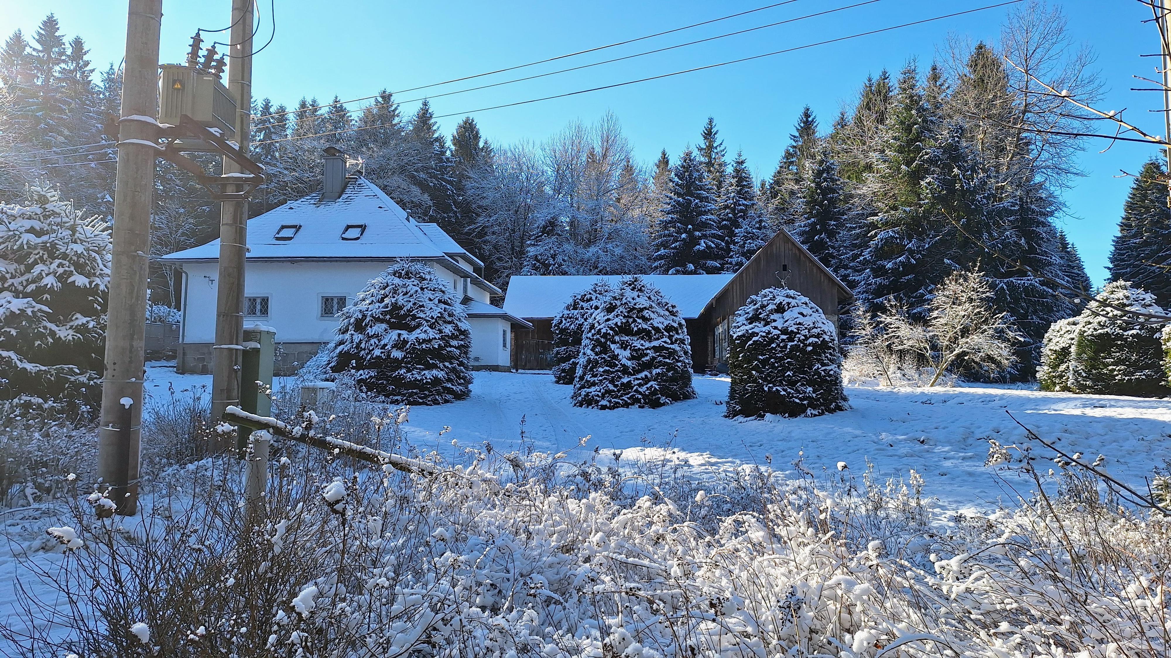 Lesní bar Němeček foto 3