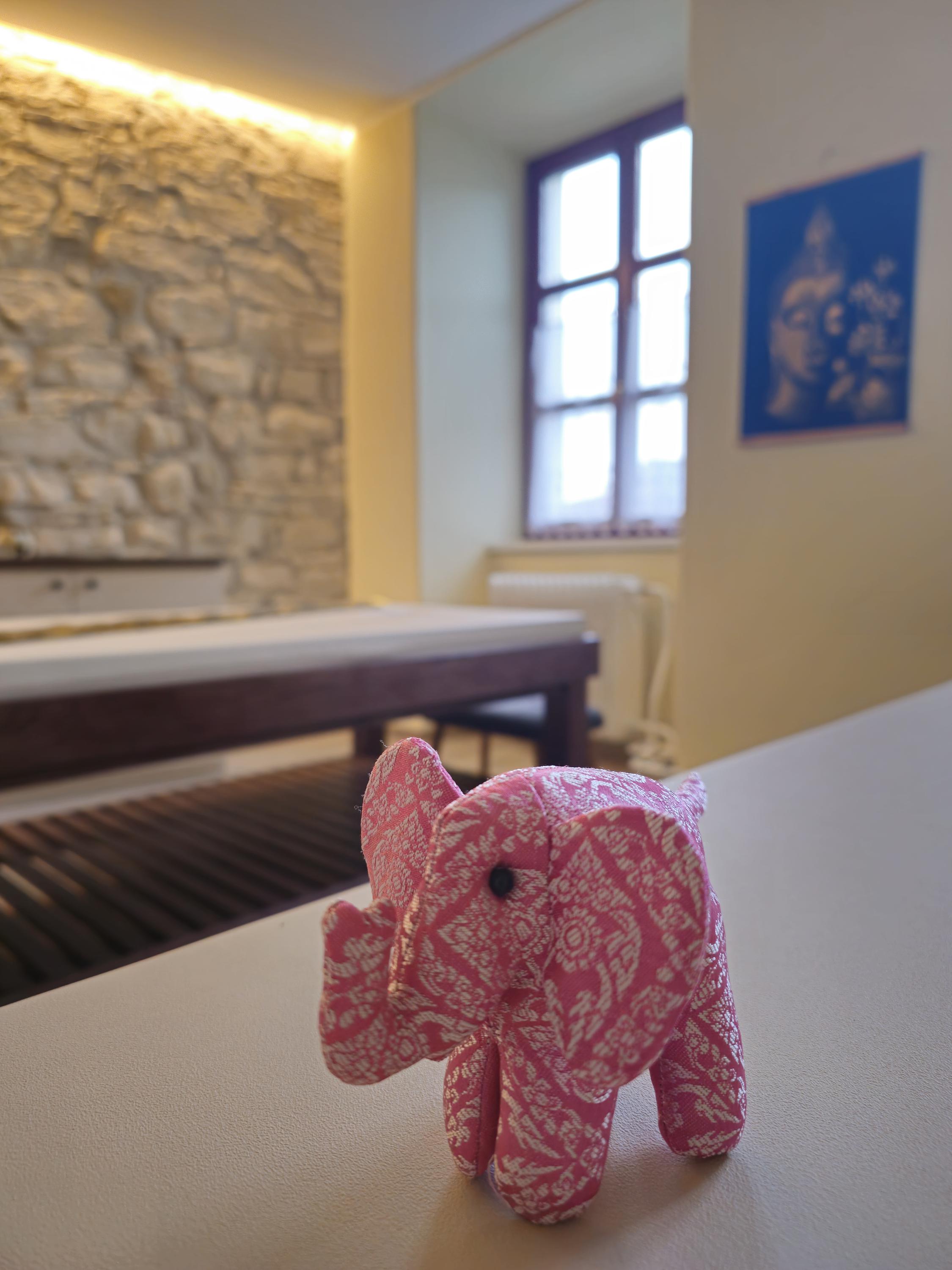 THAIGO Thajské masáže foto 4