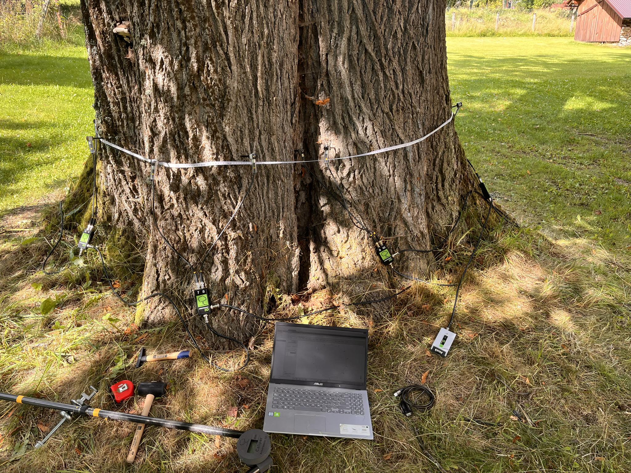 TreeServis foto 3