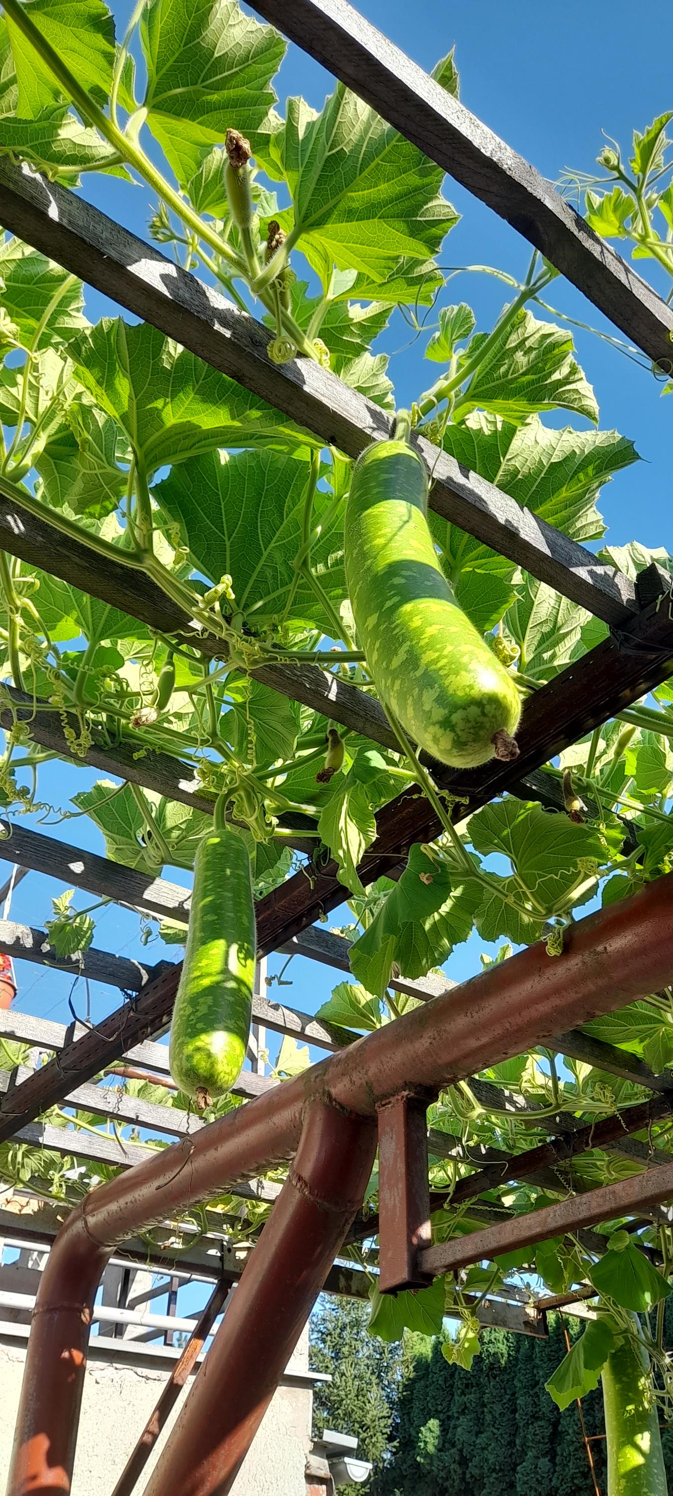 Hostinec u Dluhošů foto 3