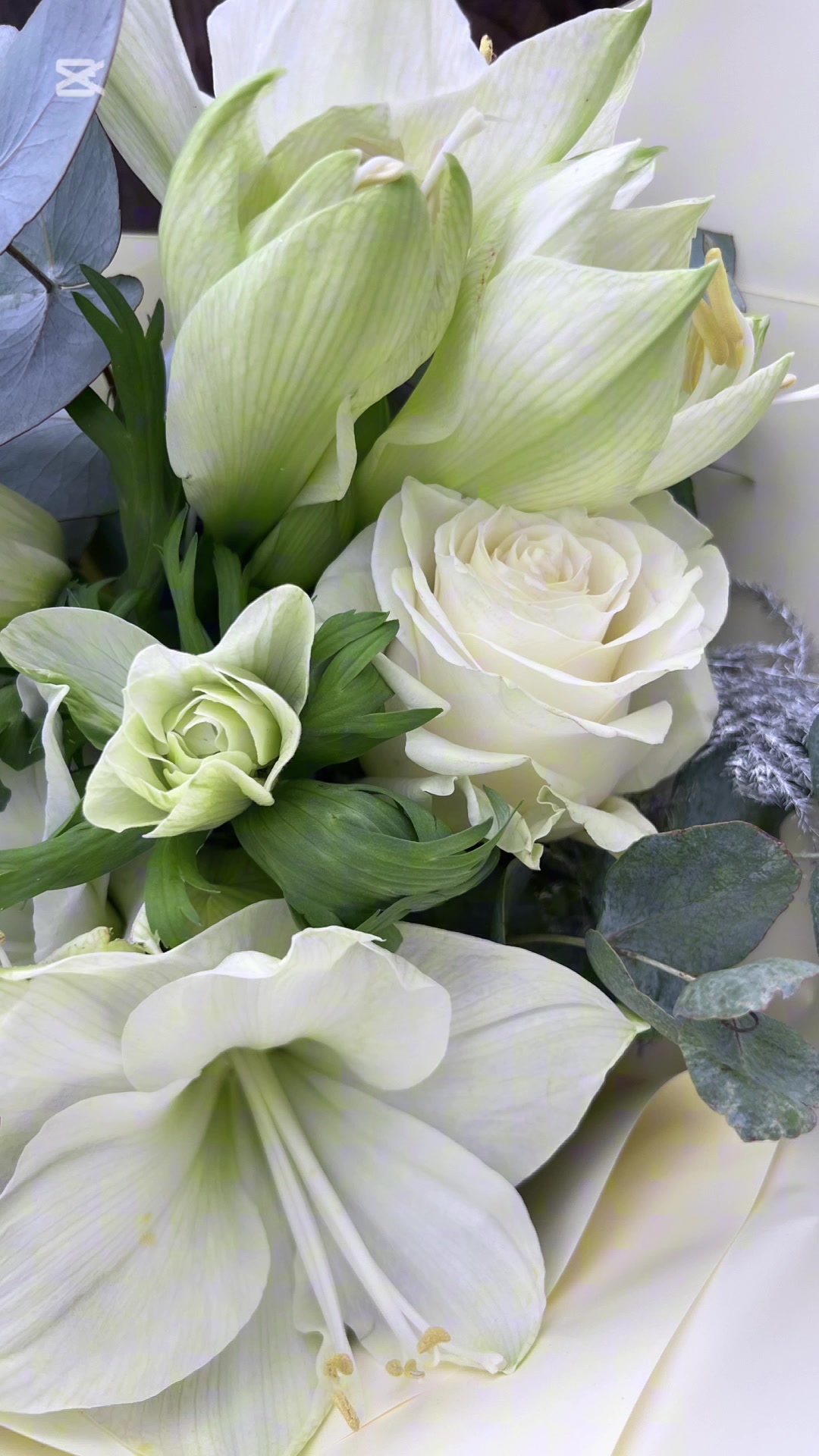 A|I BOUQUET   24/7 foto 2 (náhled videa)