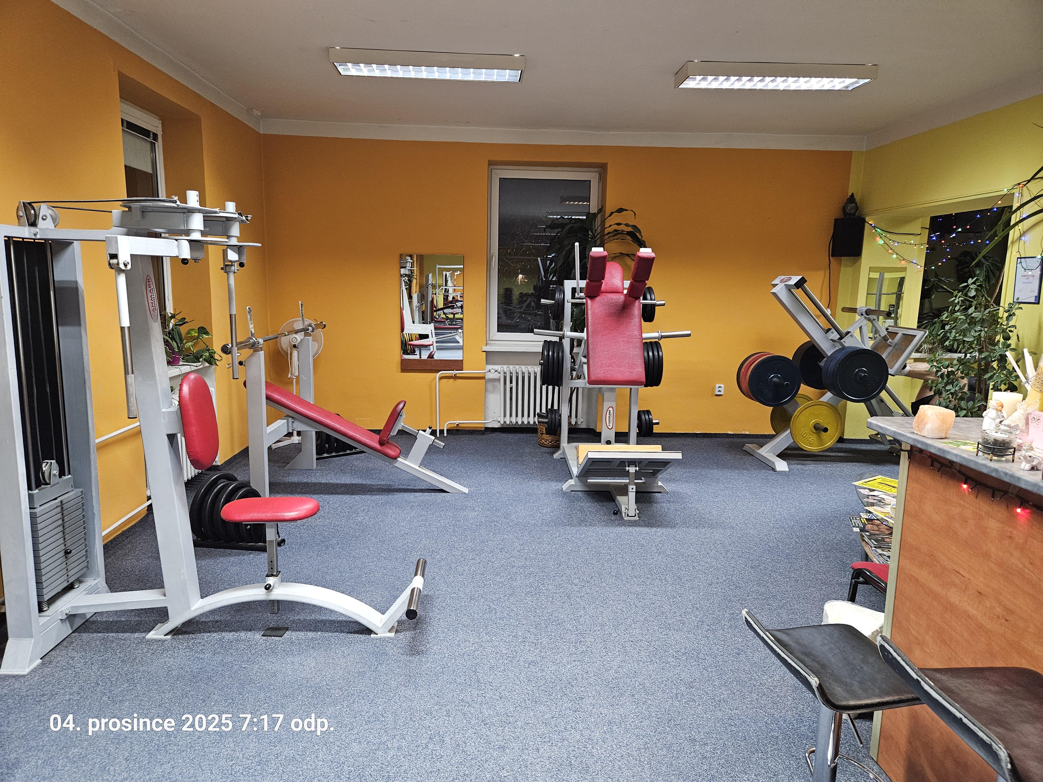 Fit - Darja foto 4