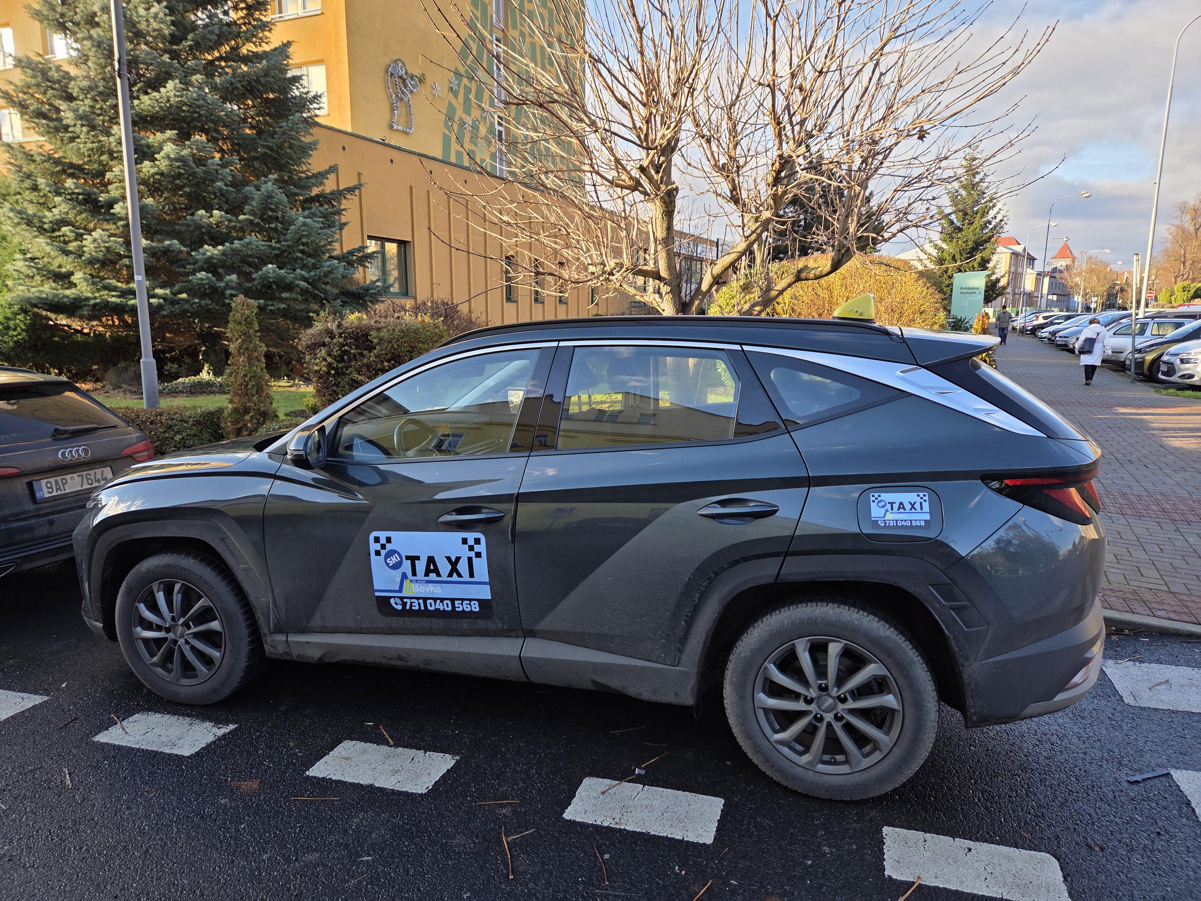 Taxi Videv Roman foto 2