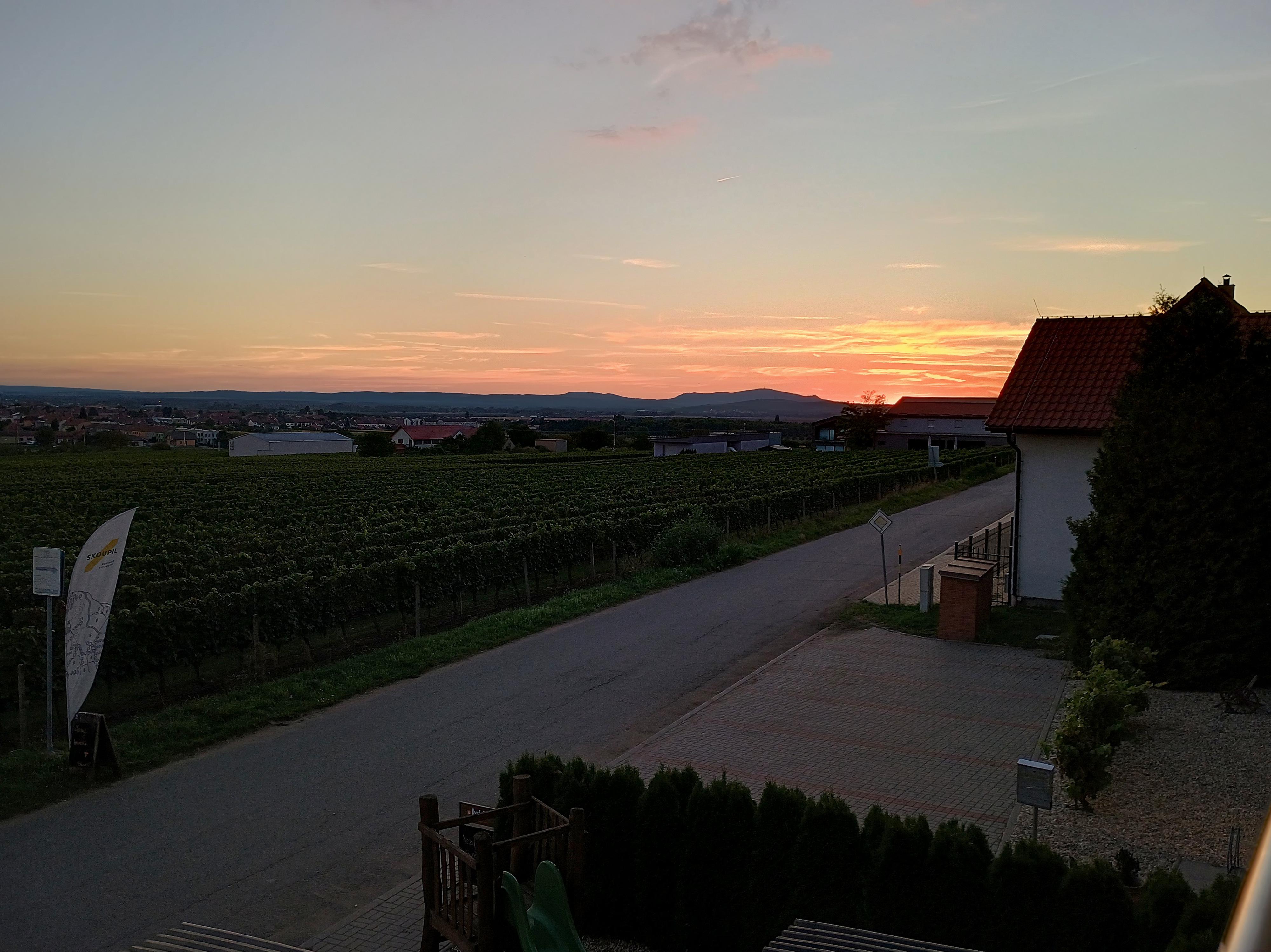 Rodinné vinařství Skoupil s.r.o. foto 5
