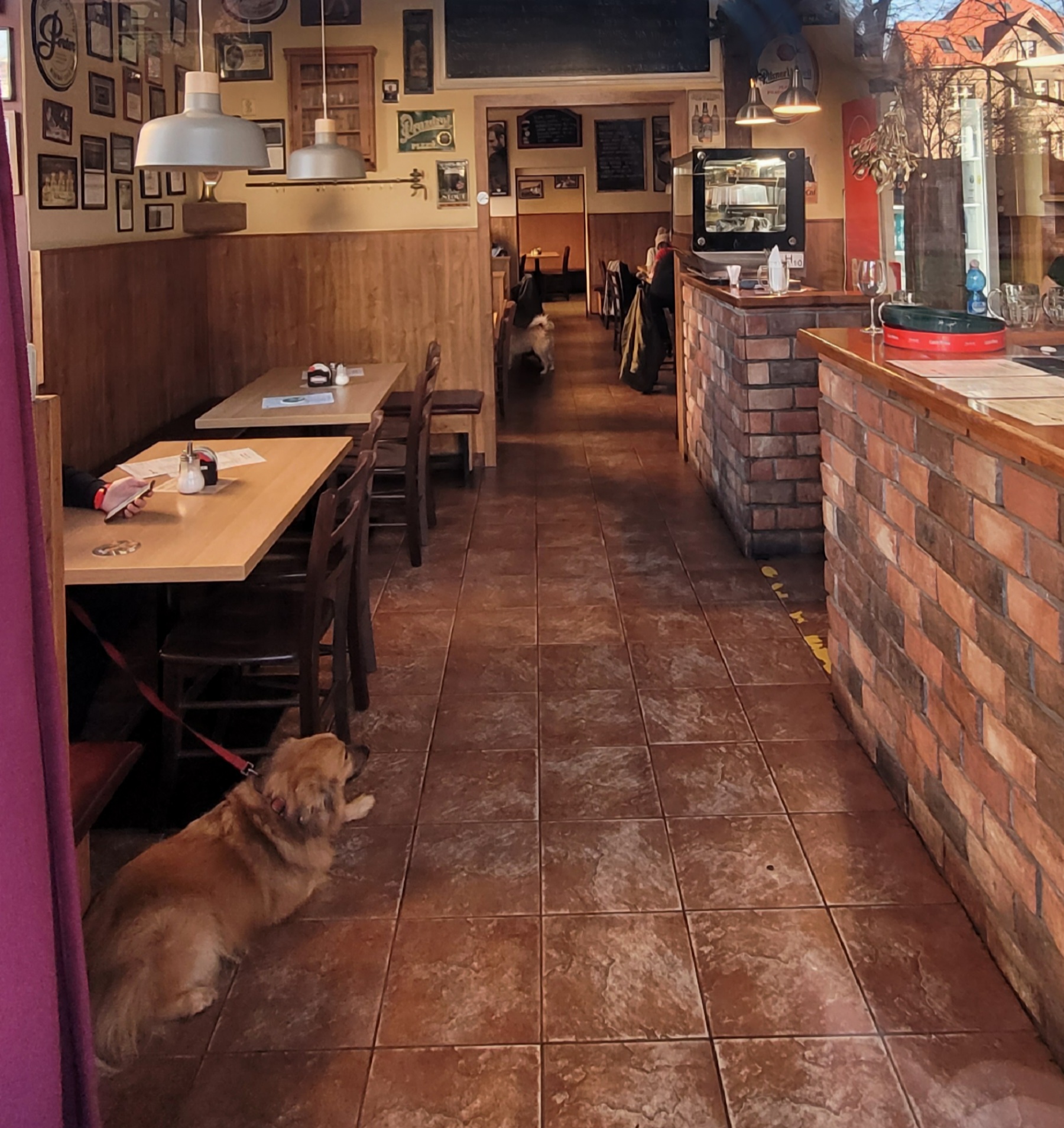 Neklid restaurant foto 2