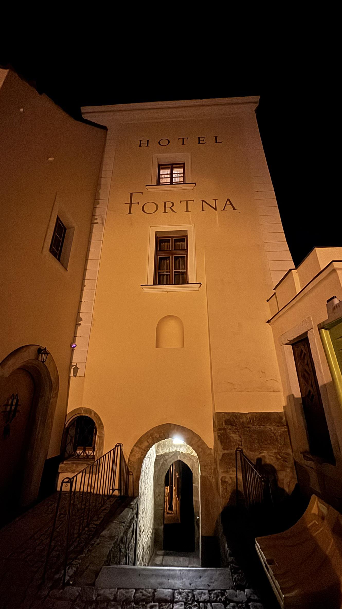 Hotel Fortna foto 6