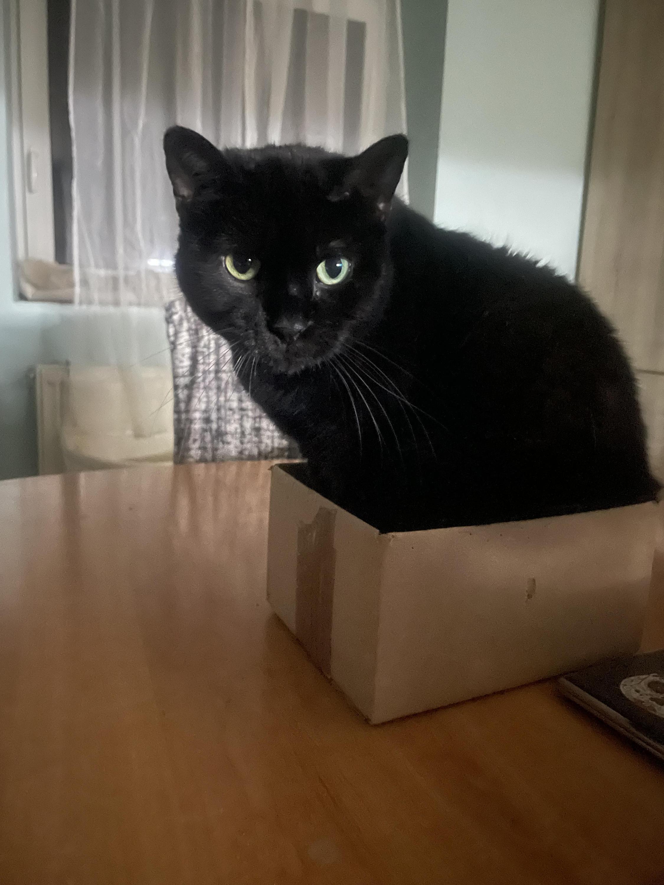 Tlapkárium z.s. foto 3