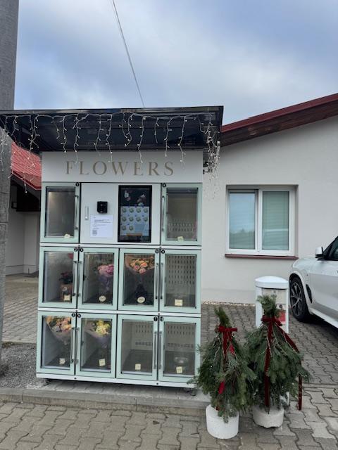 A|I BOUQUET   24/7 foto 4