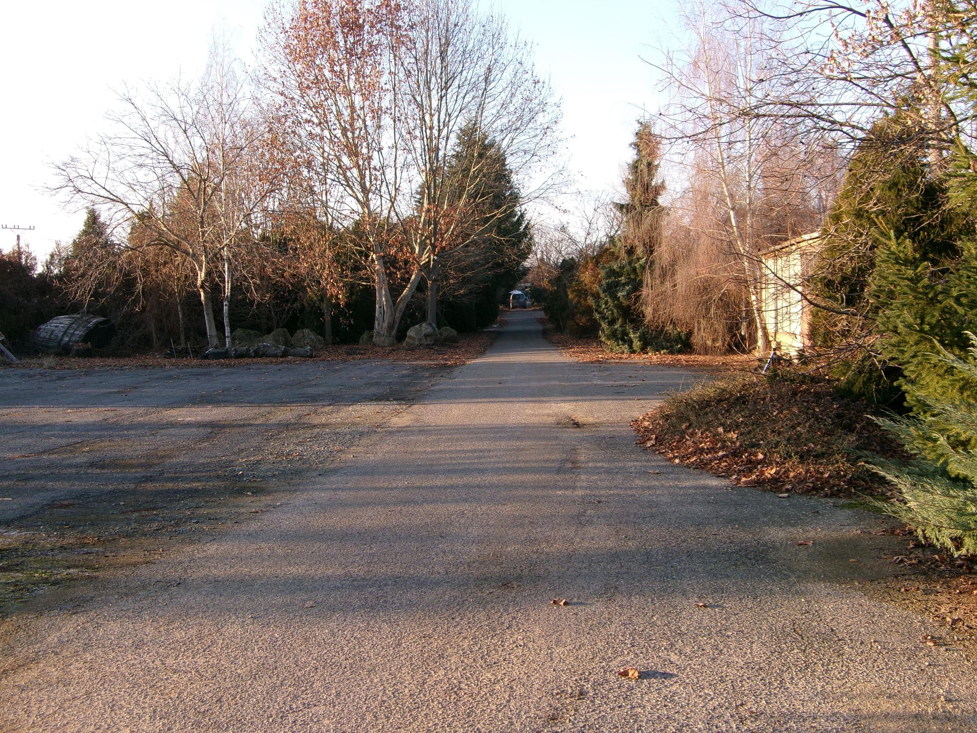 Zahradnictví Rea Vranovice foto 1