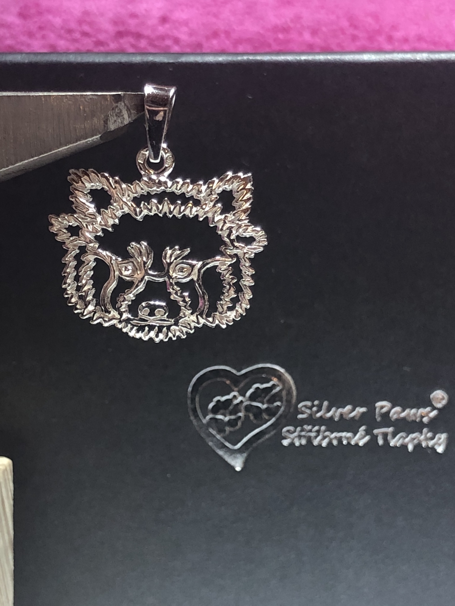 Stříbrné Tlapky | Silver Paws foto 3