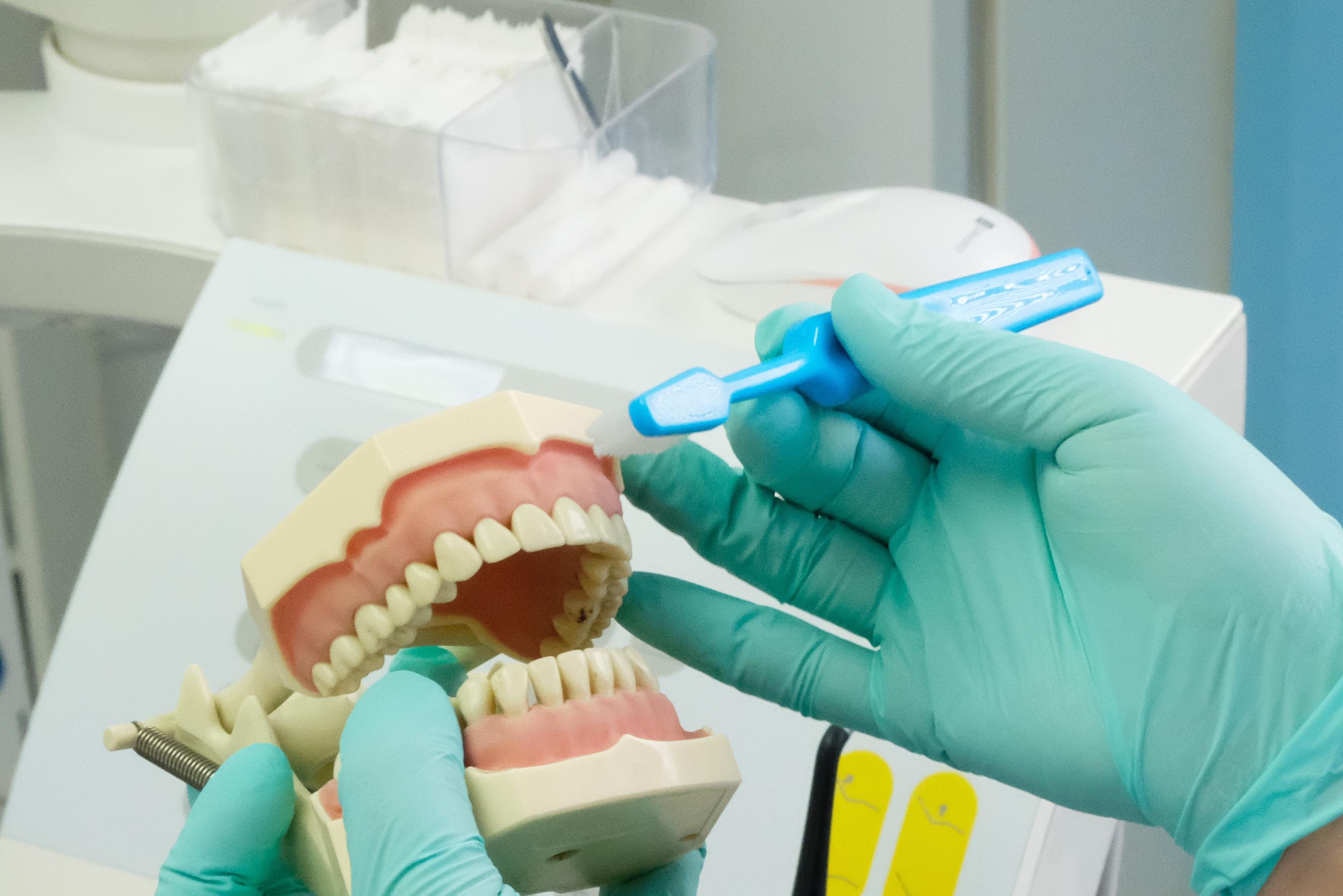 Dentální hygiena - Mgr. Adéla Ilenčíková, DiS.