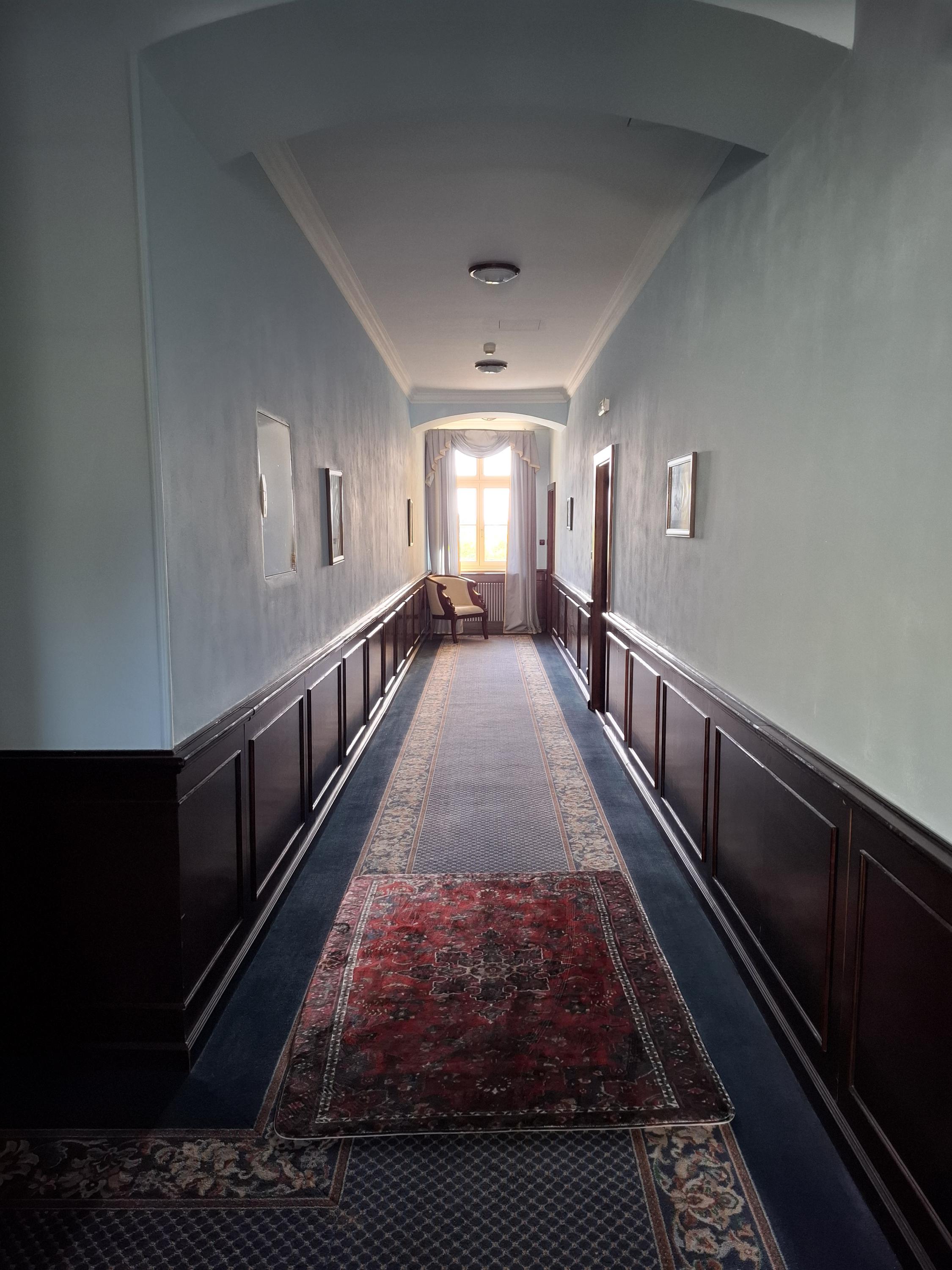 Palace Inn foto 2