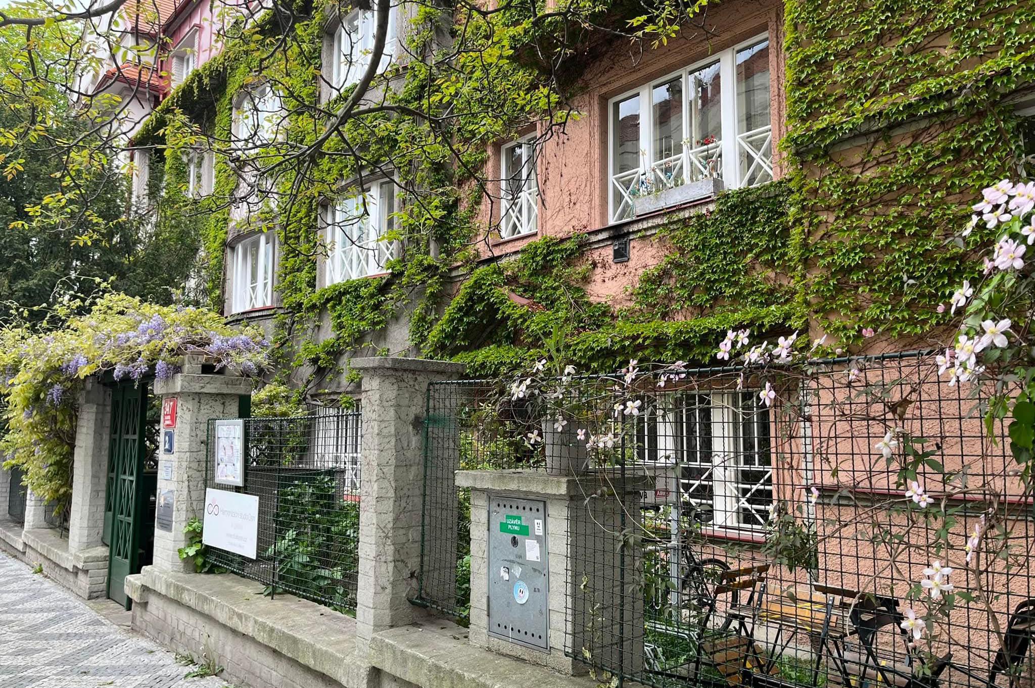 Energetická medicína Helena Hýbnerová