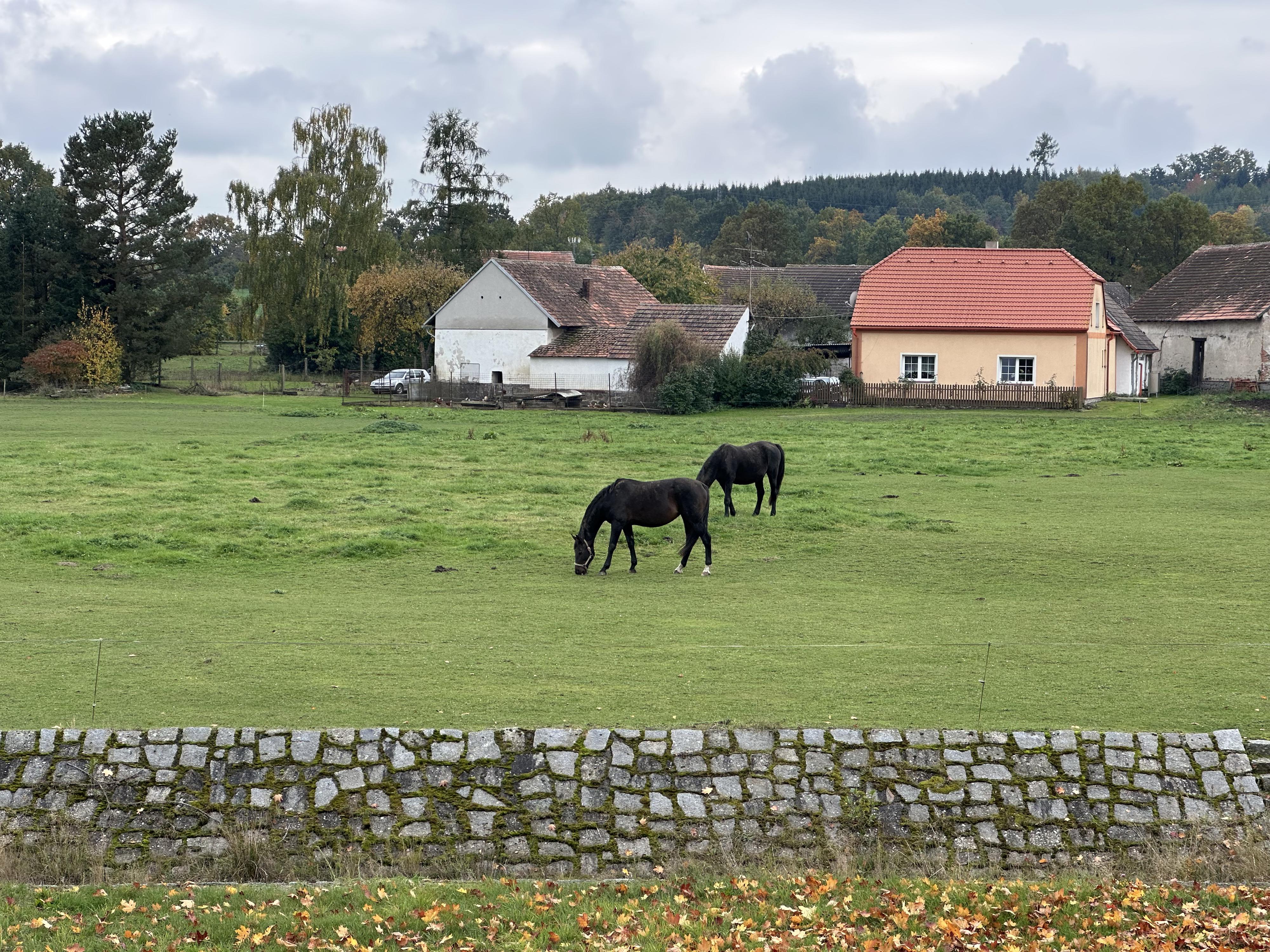 Jezdecká stáj Maroušek Myslín z.s. foto 4