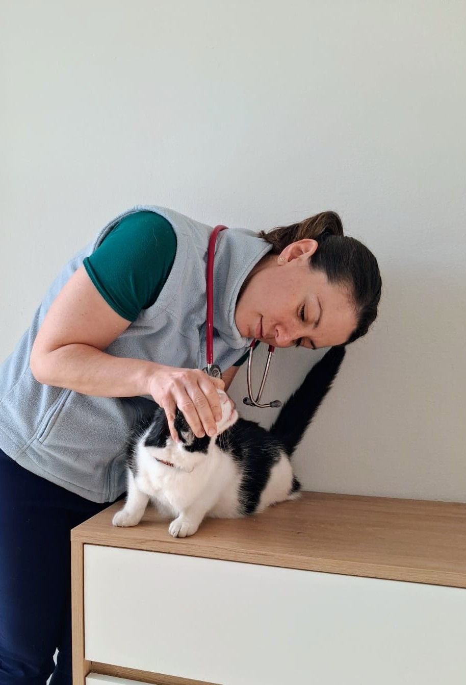 Vetmax - veterinární výjezdovka foto 2