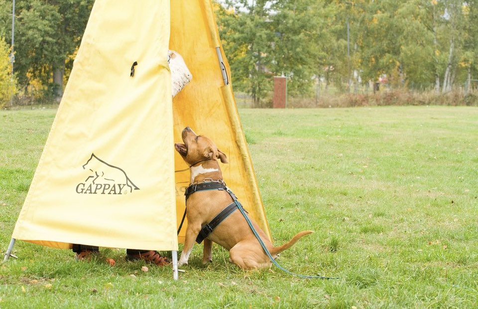 ZKO 438 Karlovy Vary - Stará Role foto 2