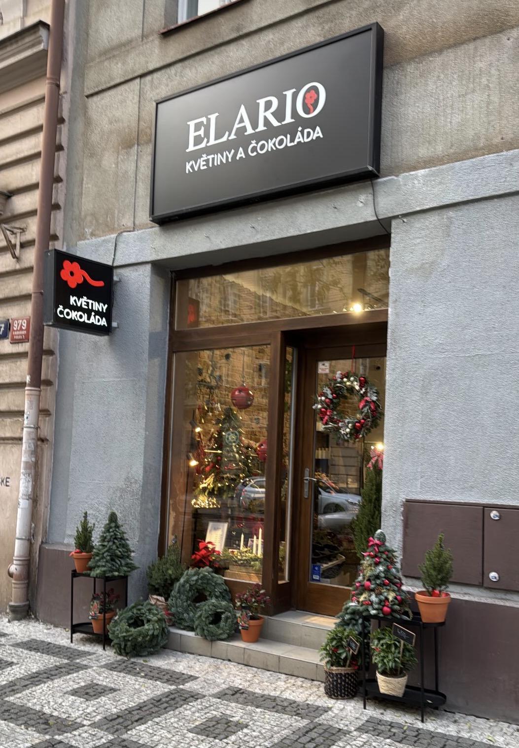 Elario - květiny a čokoláda foto 2