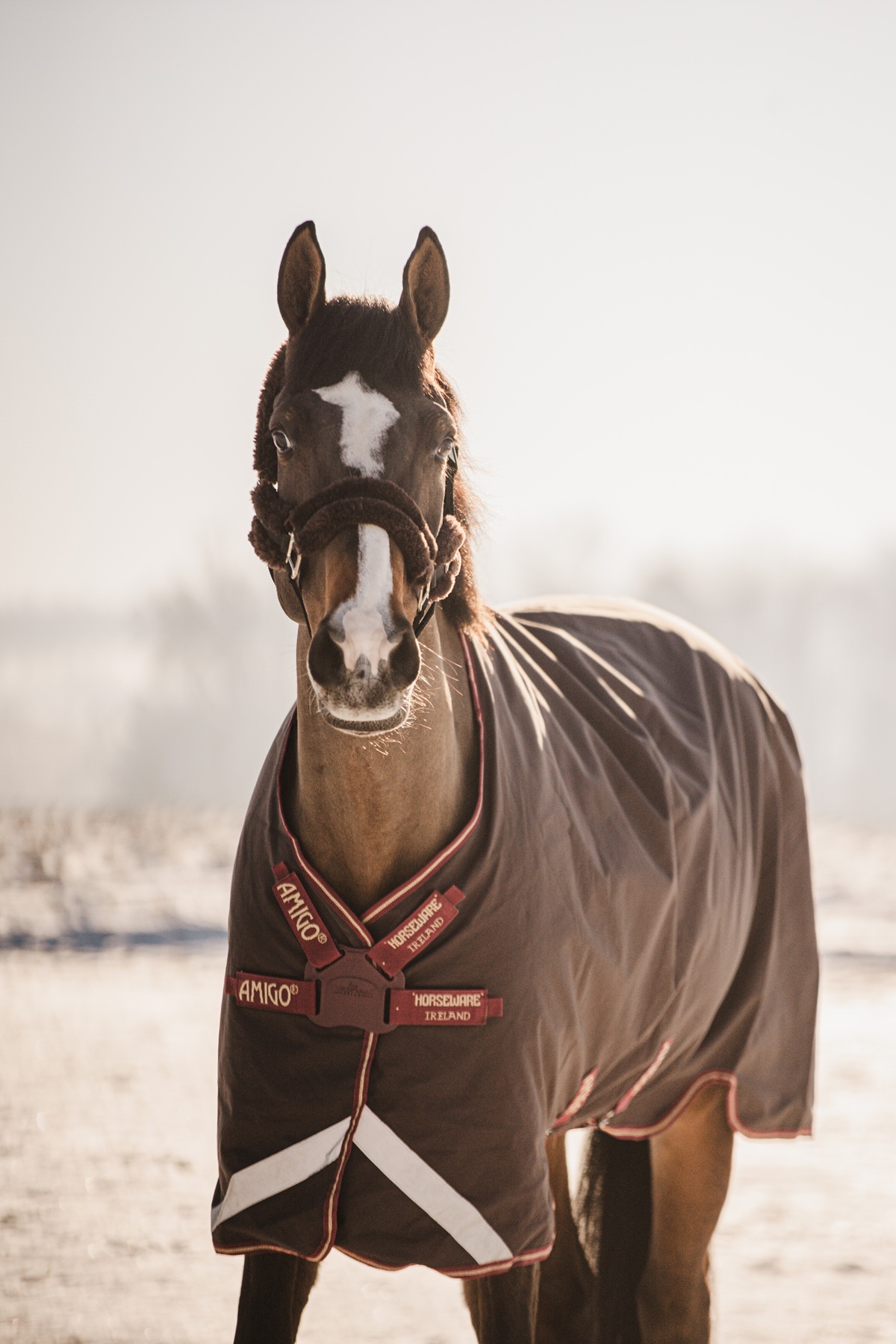 Equiservis spol. s r.o. foto 5