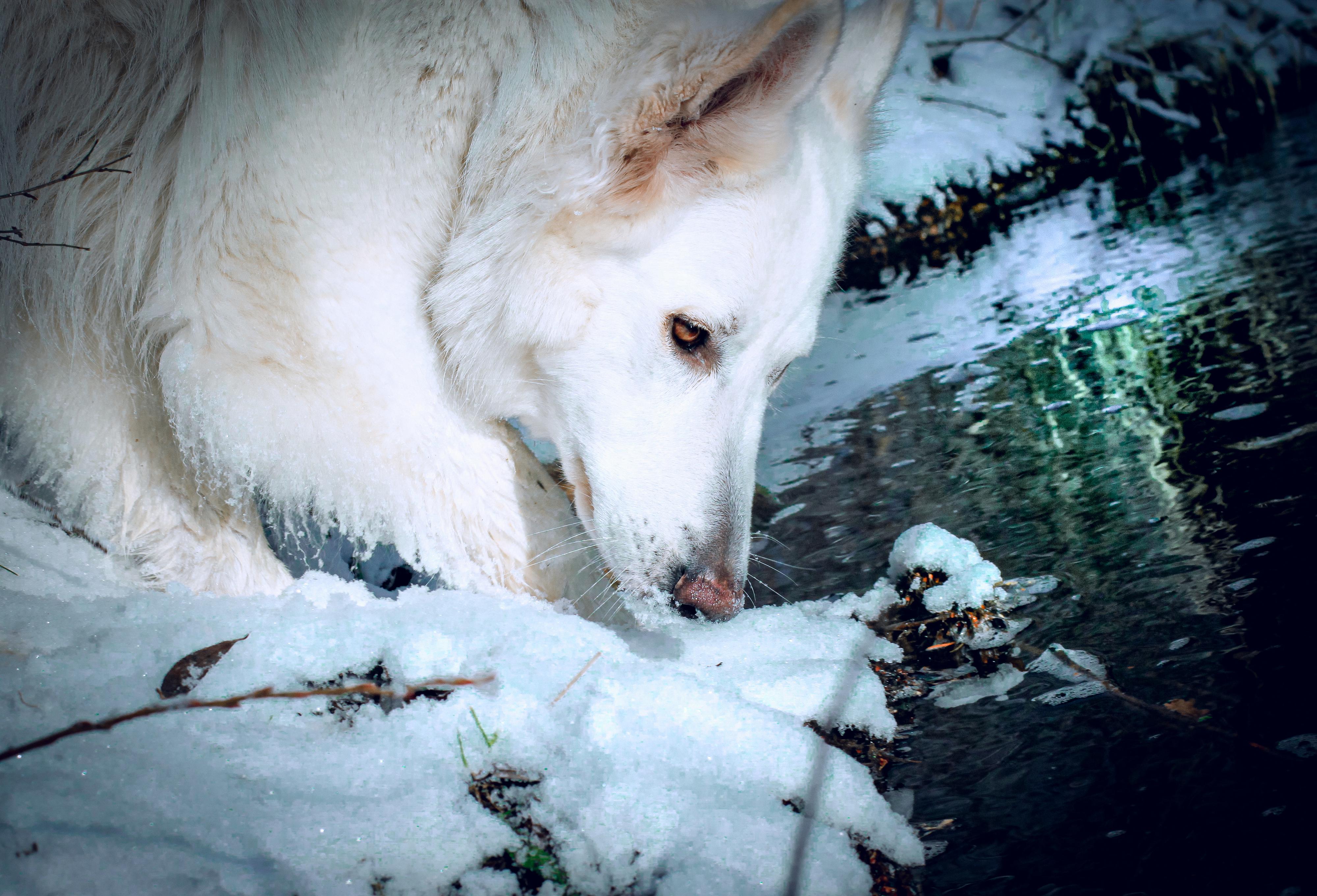 Grafika, fotografie Andy foto 2