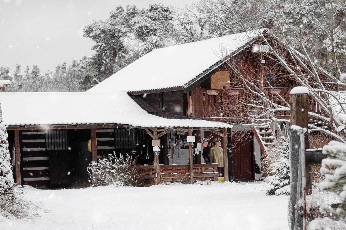 Staroboleslavský Dvůr