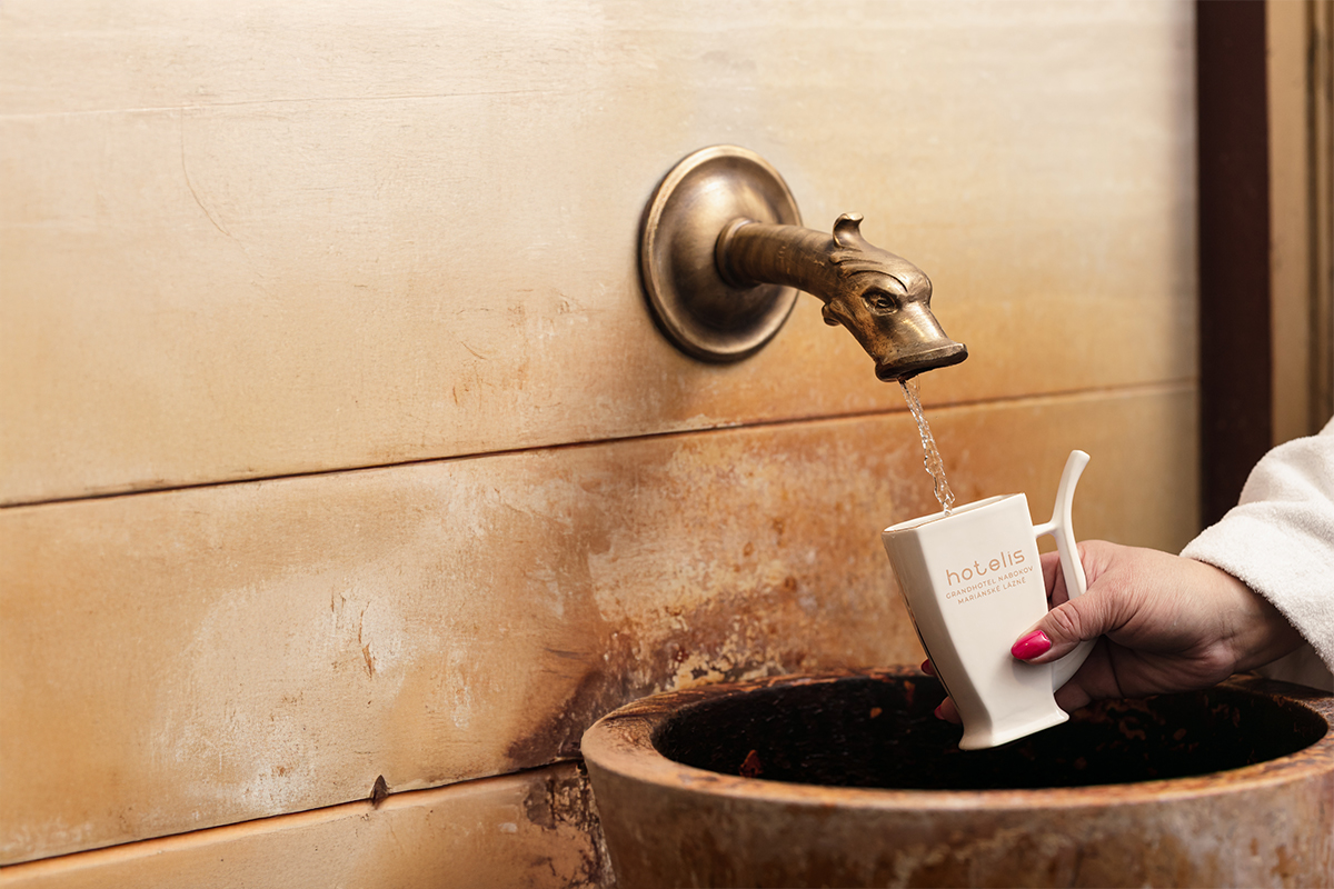 Léčebný pobyt Light - Villa Smetana