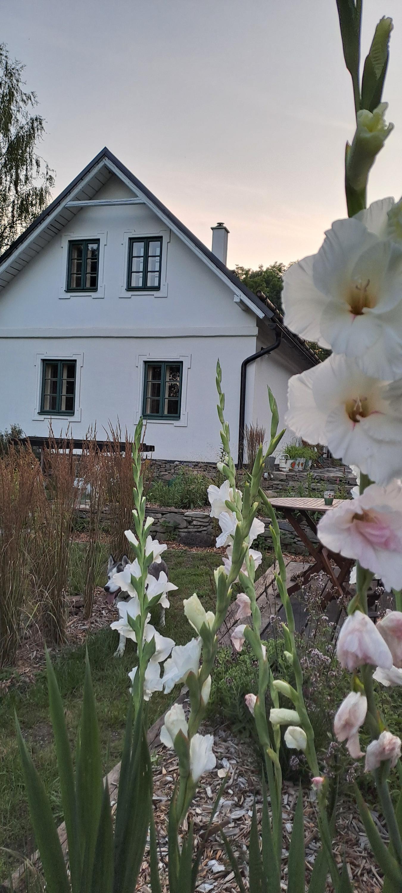 Domeček jako dlaň foto 1