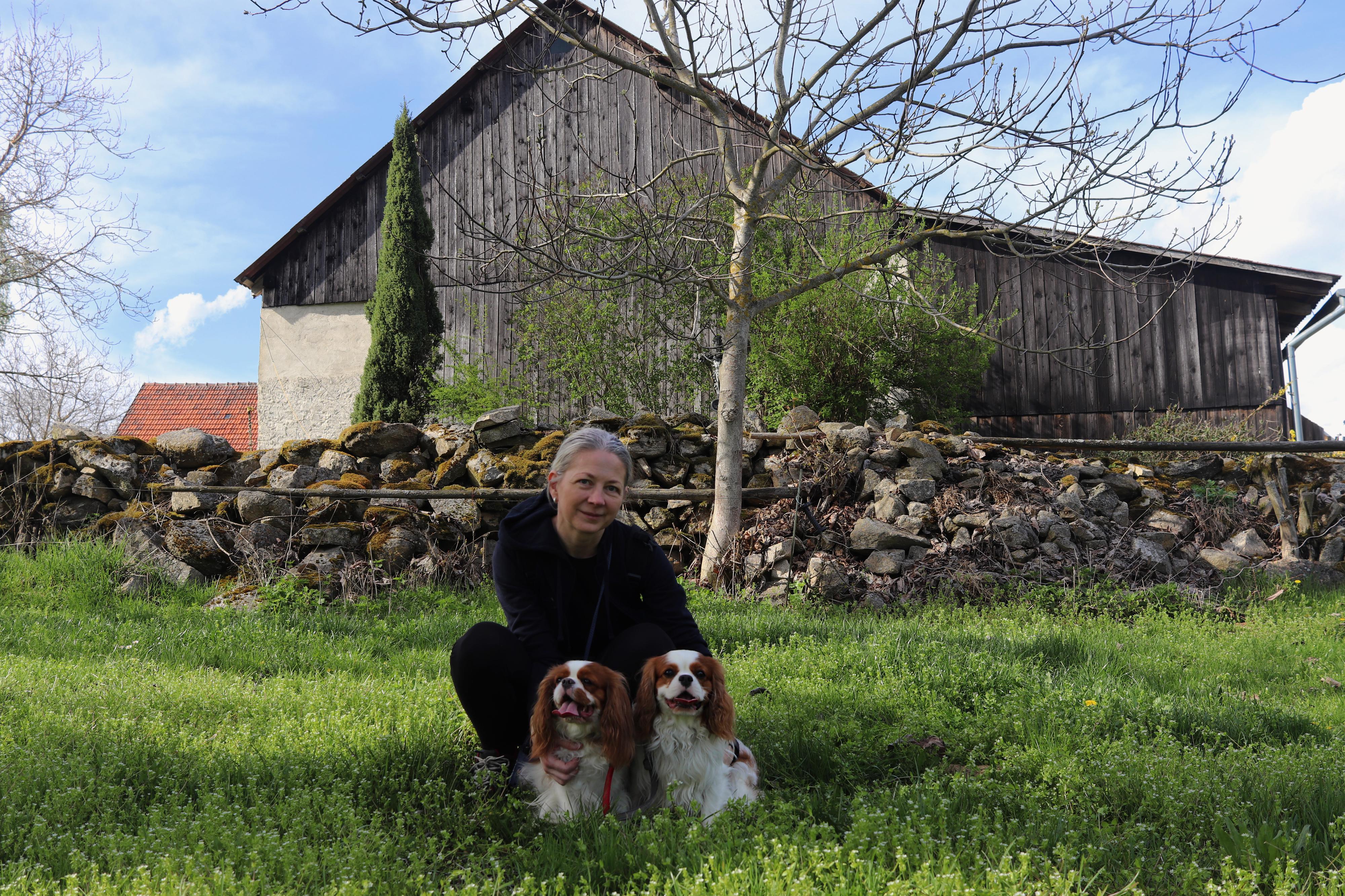 Psí psychologická poradna