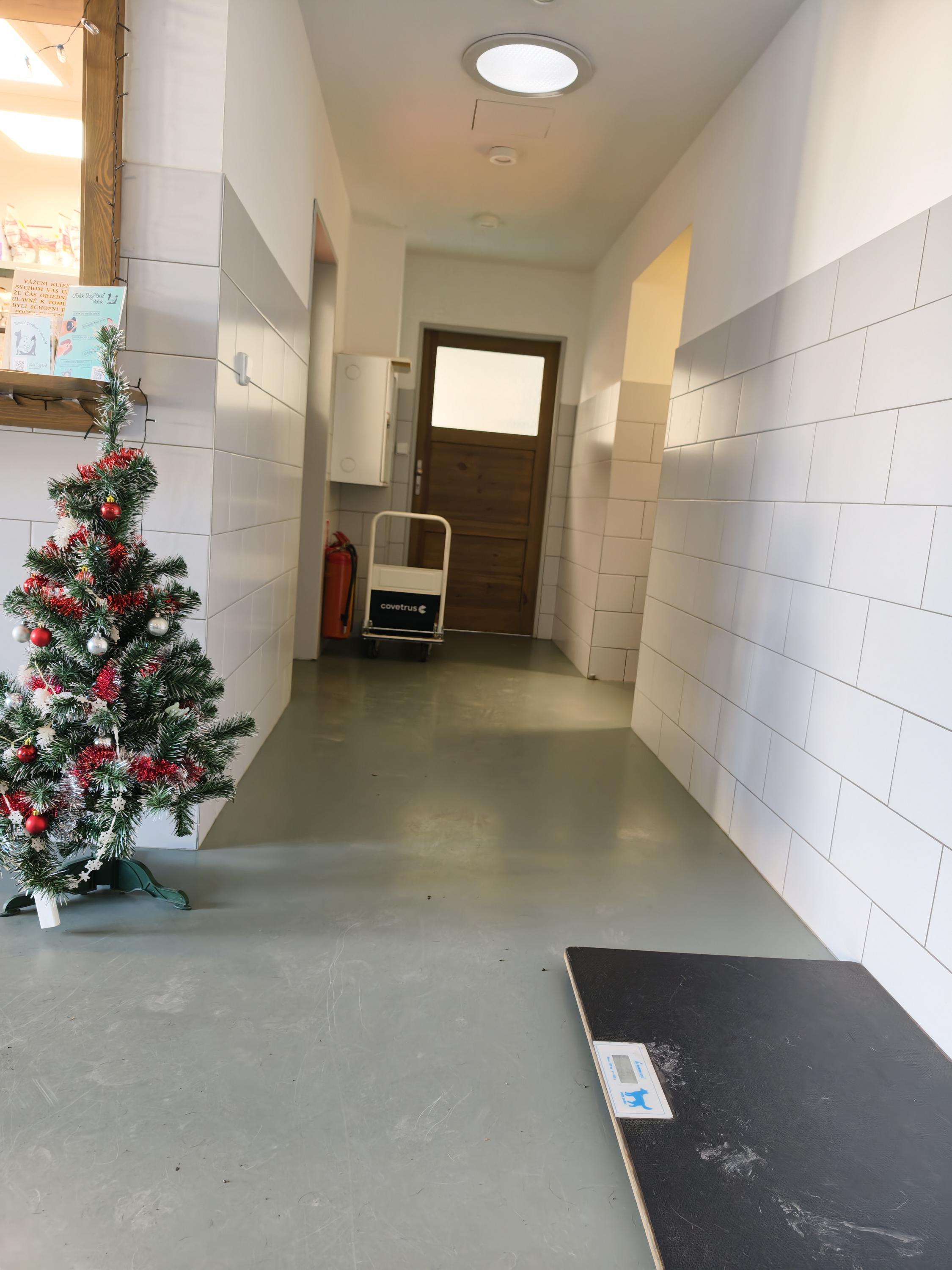 Veterinární klinika Maradovi foto 4