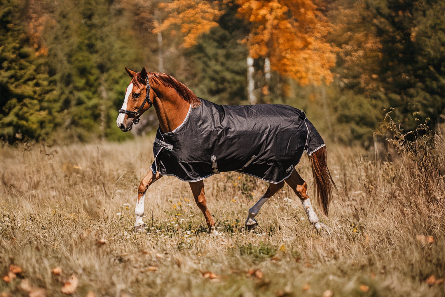 Equiservis spol. s r.o. foto 4