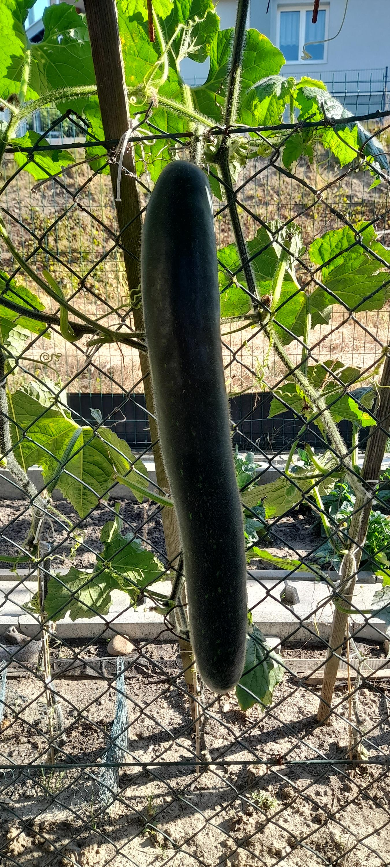 Hostinec u Dluhošů foto 4