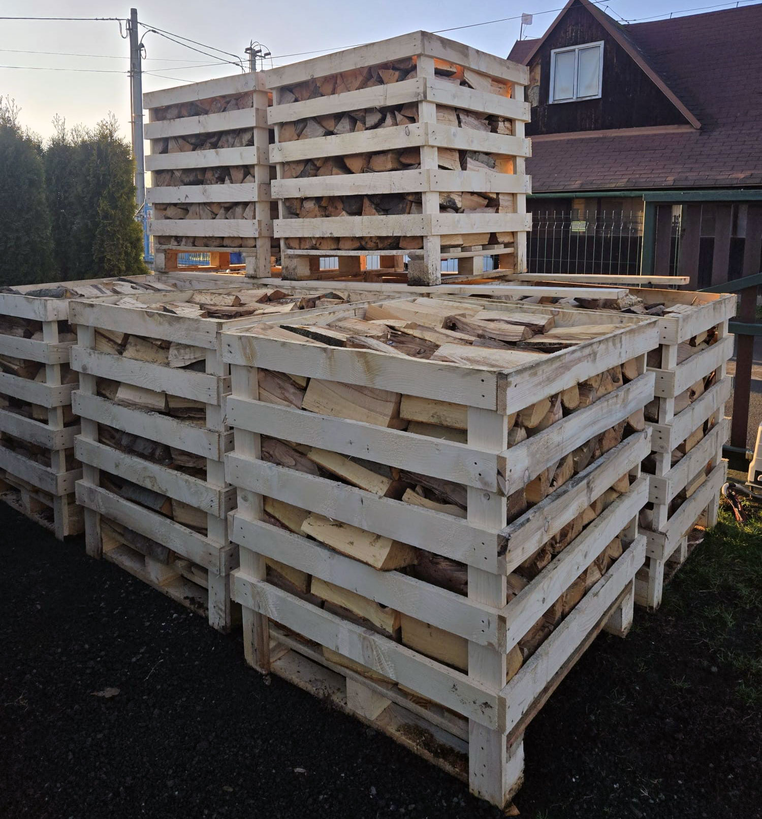 Dřevo v kontejneru foto 2