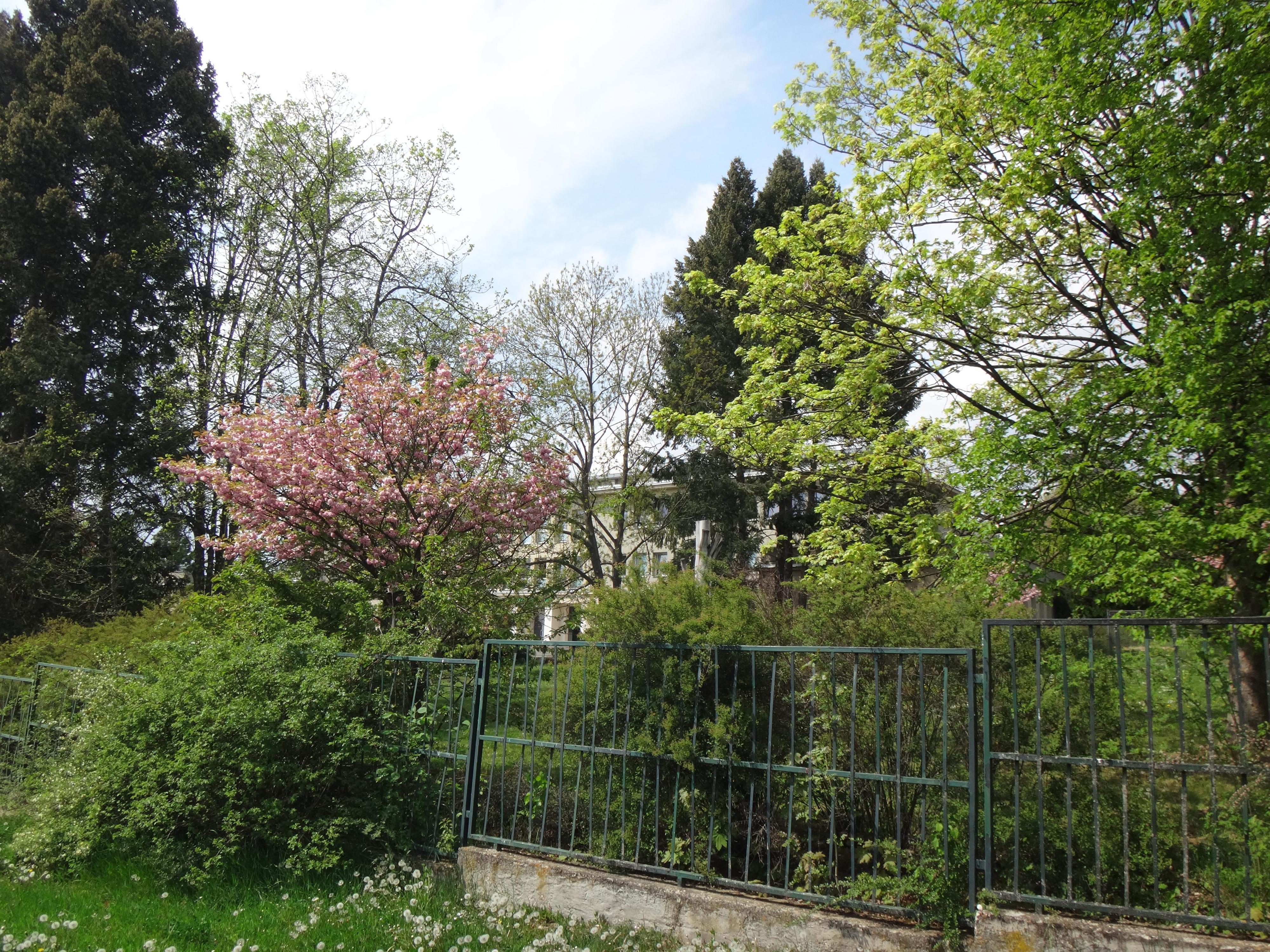 Biofyzikální ústav AV ČR, v.v.i. foto 3