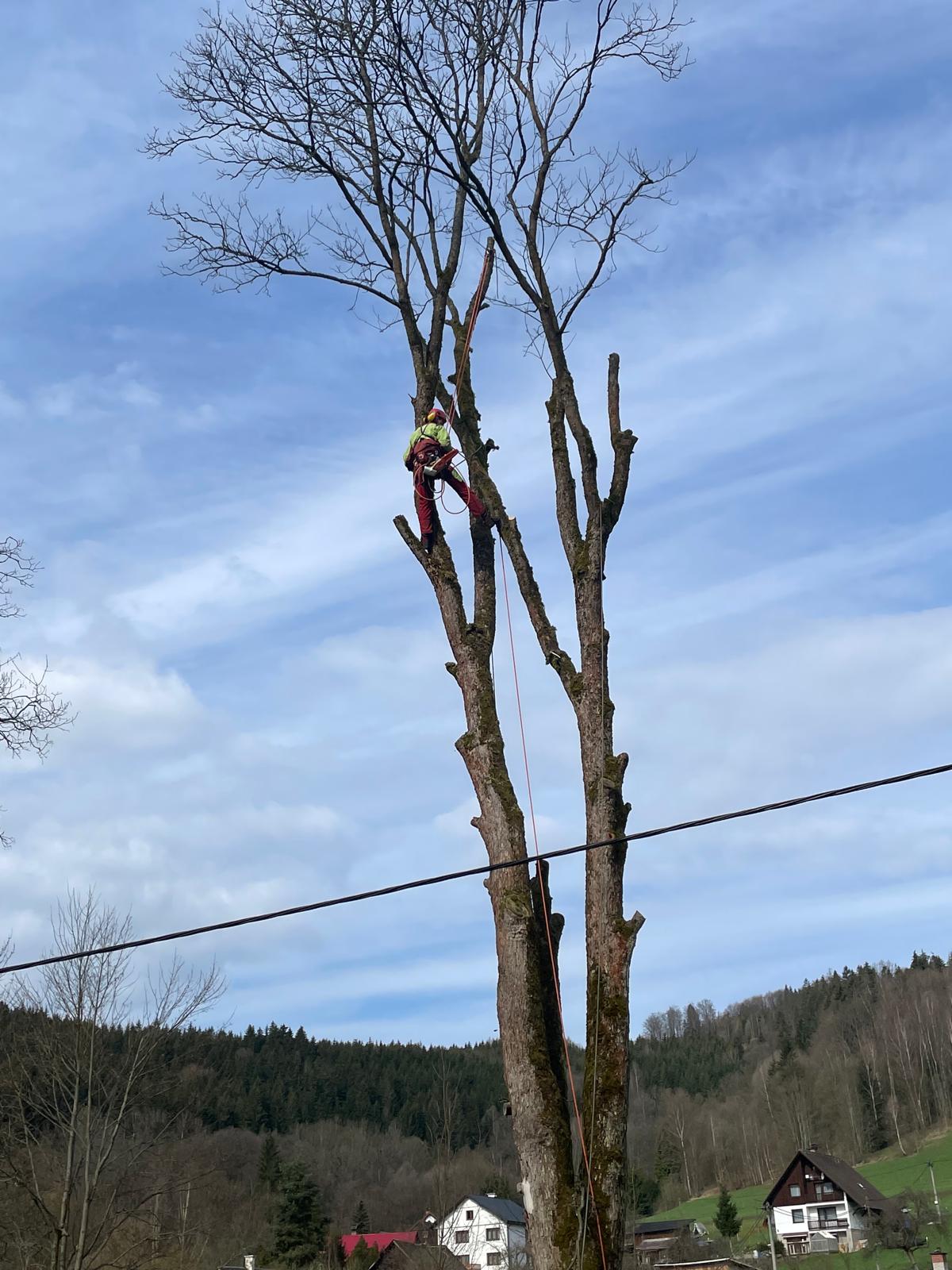 Zbyněk Novotka foto 2