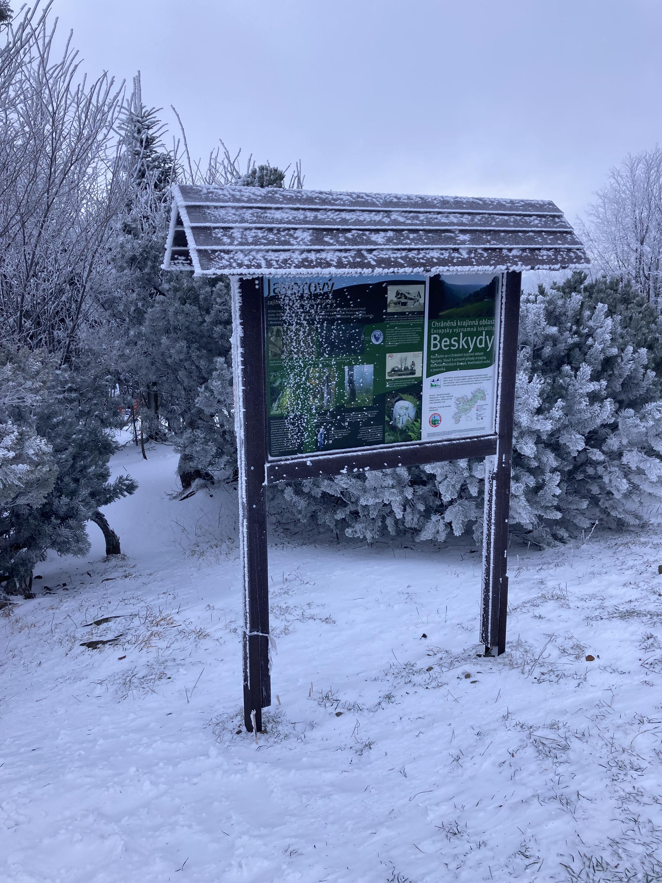 Lyžařský areál Javorový Vrch foto 4