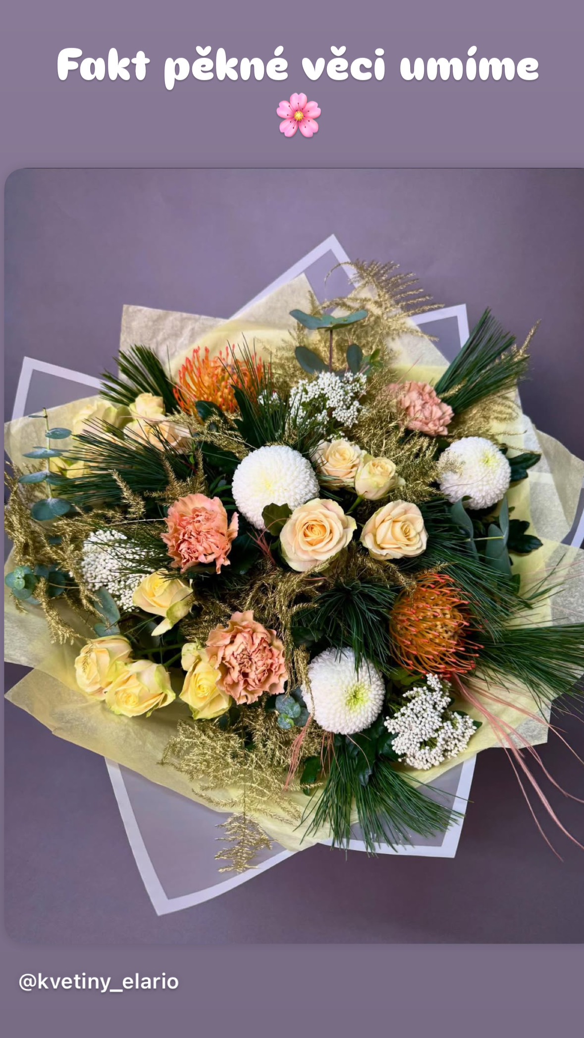 Elario - květiny a čokoláda foto 3