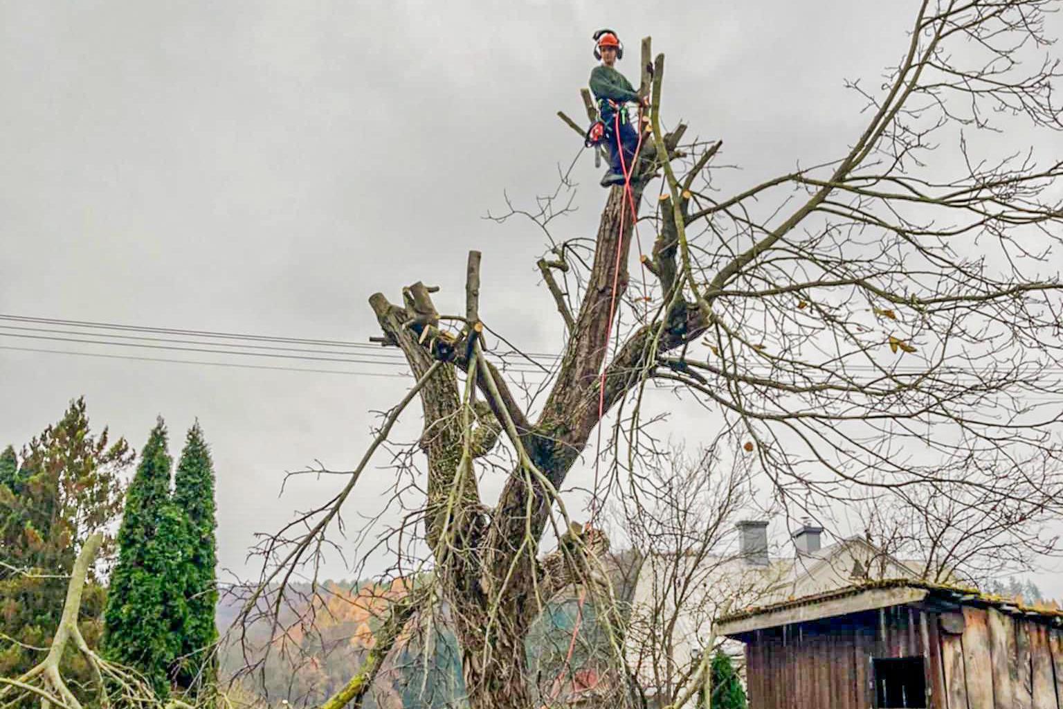 Rizikové kácení a ořez stromů Šimon Lenczyk foto 1