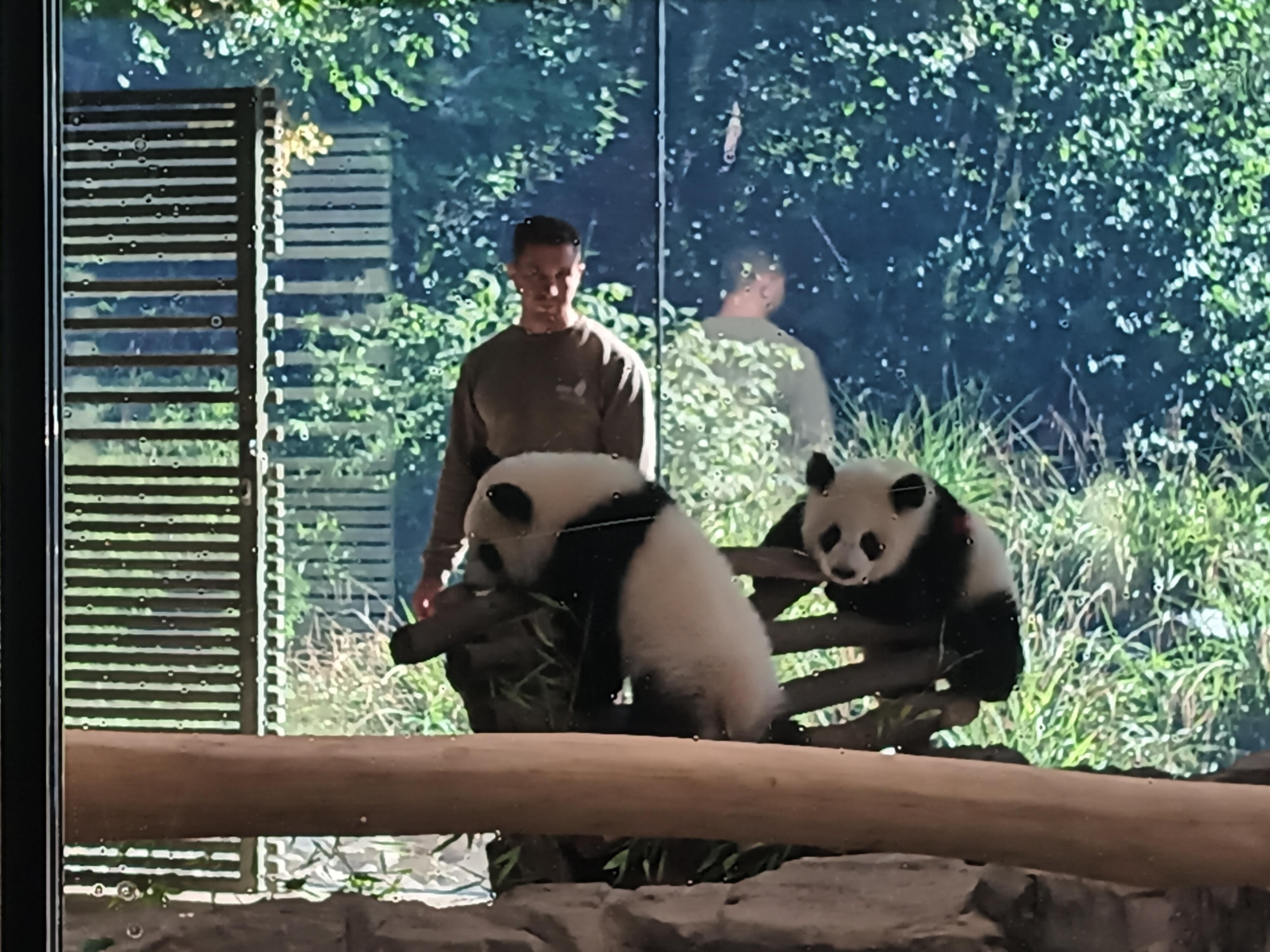 Trips and Excursions - travel agency, s.r.o. foto 2