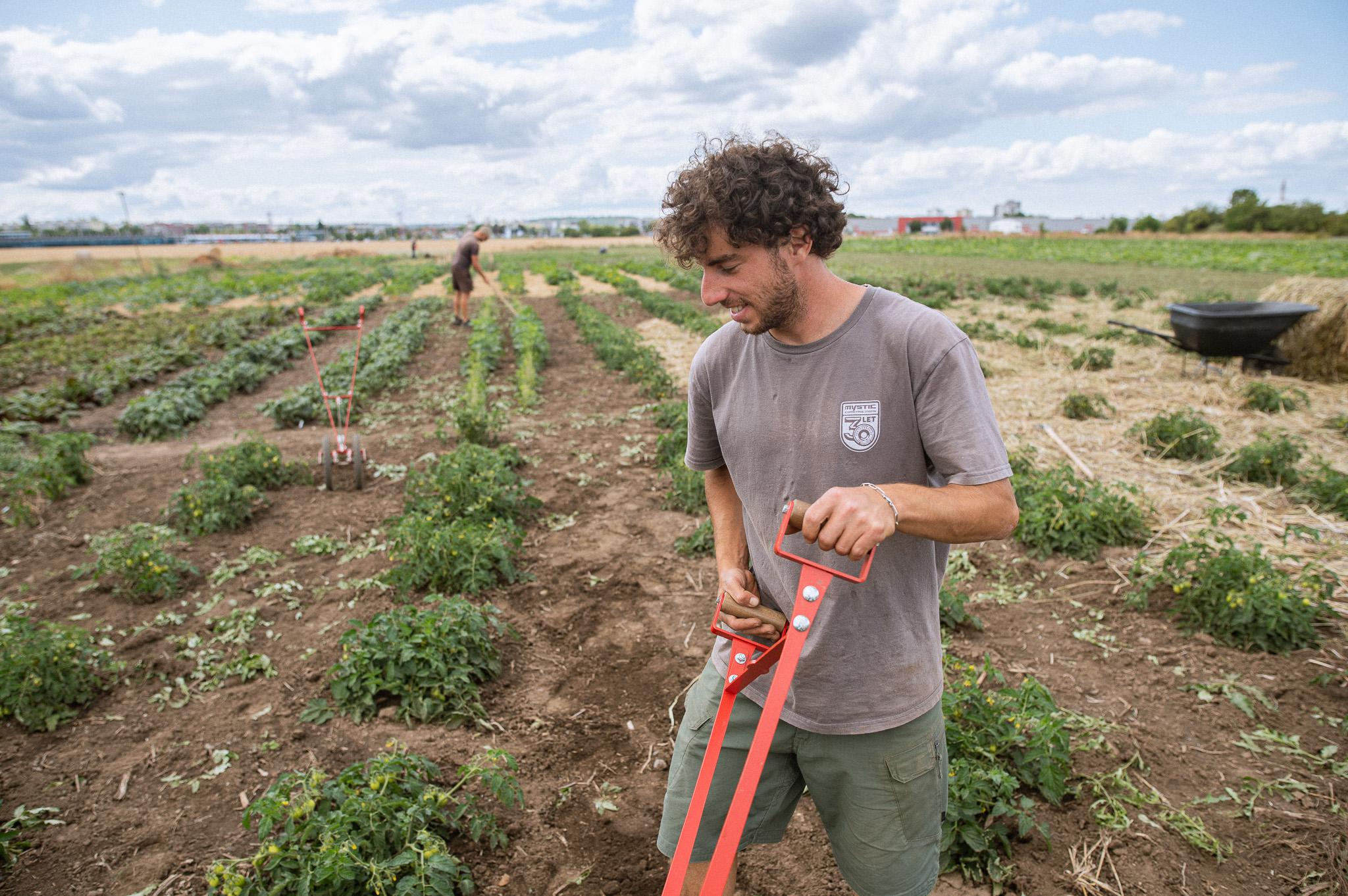 MetroFarm - Letňany