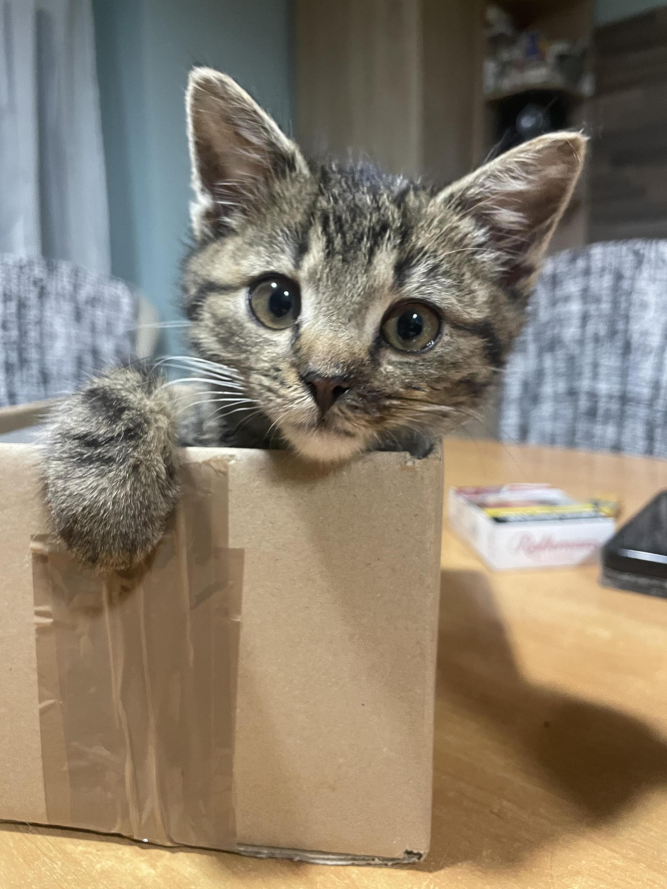 Tlapkárium z.s. foto 2