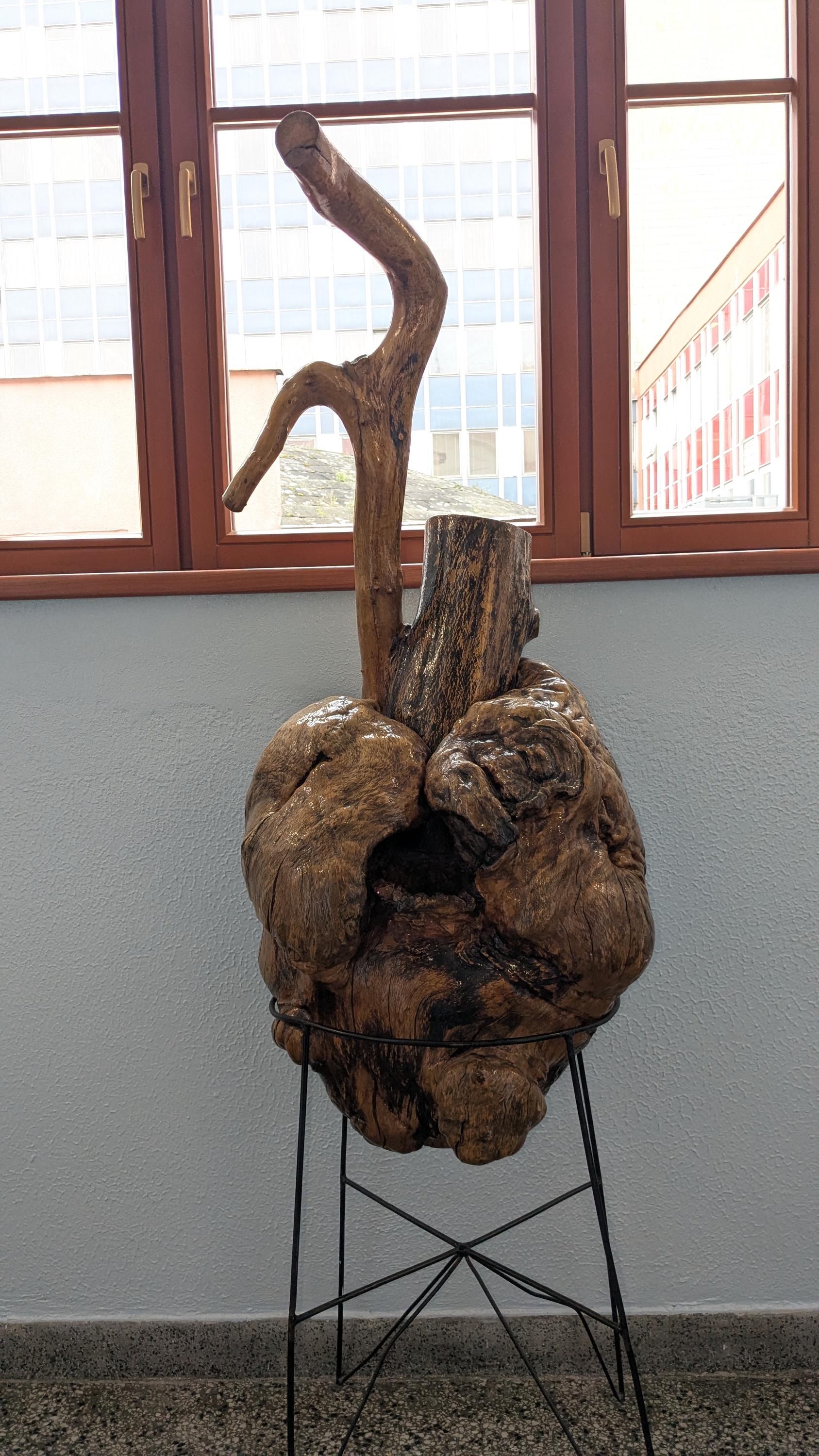 Střední zdravotnická škola Vsetín foto 2