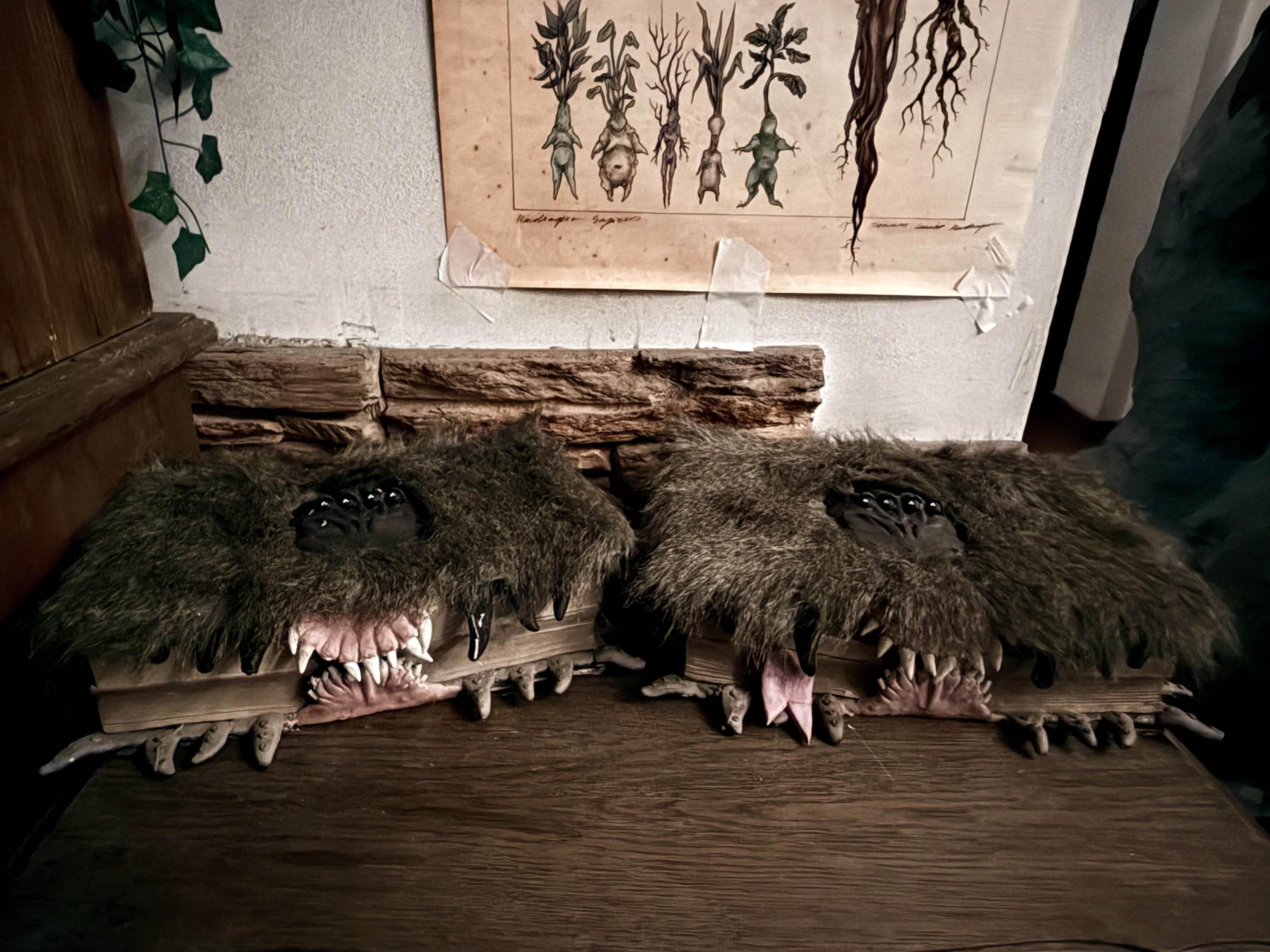 Abrakadabra kavárna foto 2