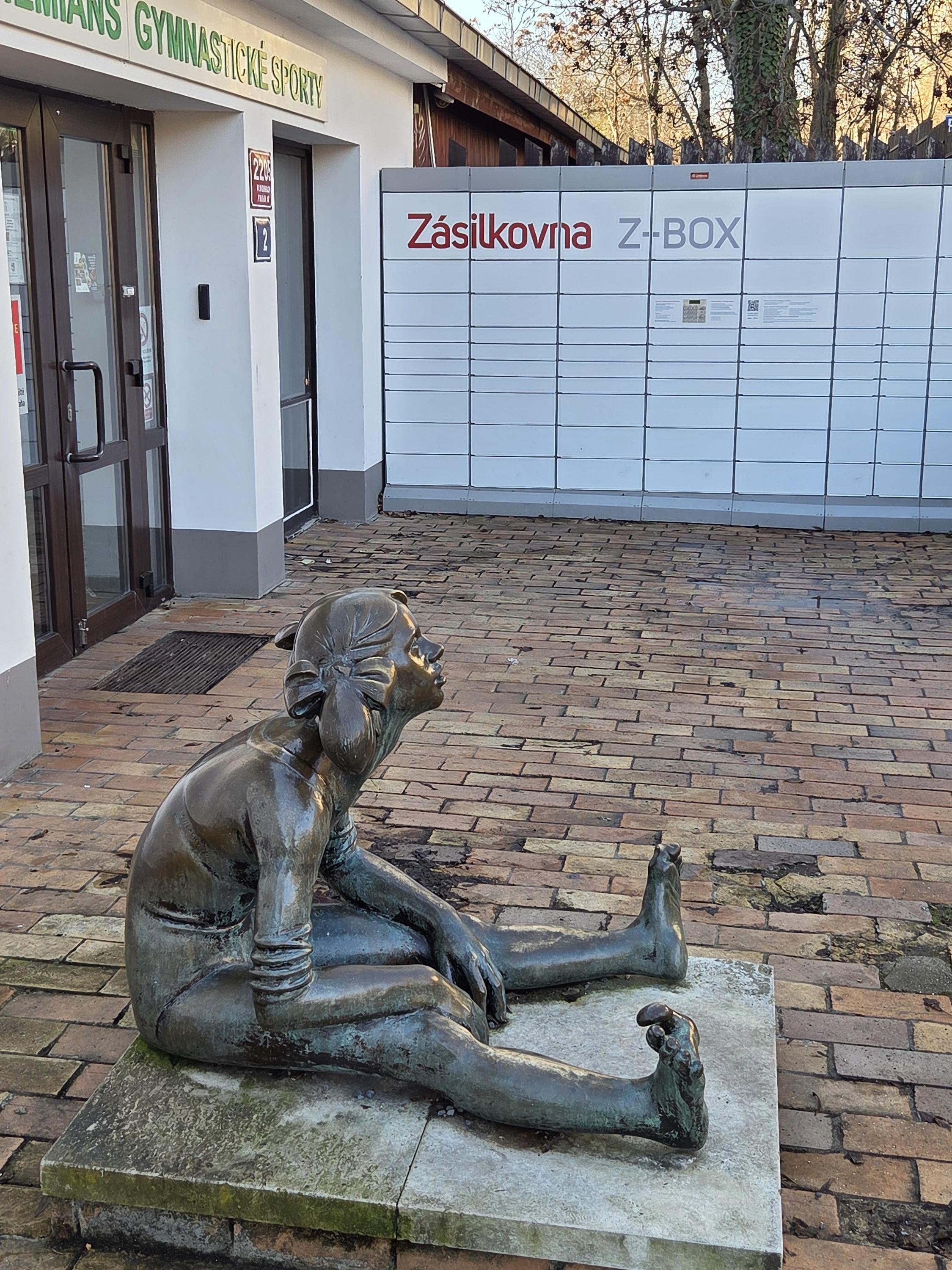 Z-BOX foto 1